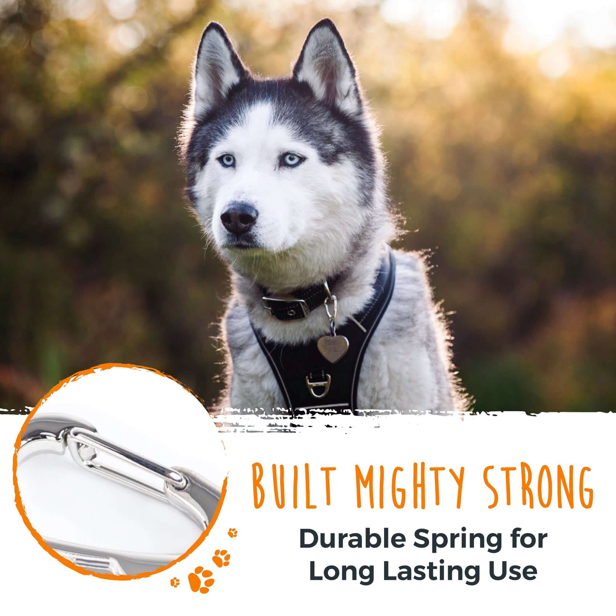 Dog Tag Carabiner Clips (3pk)