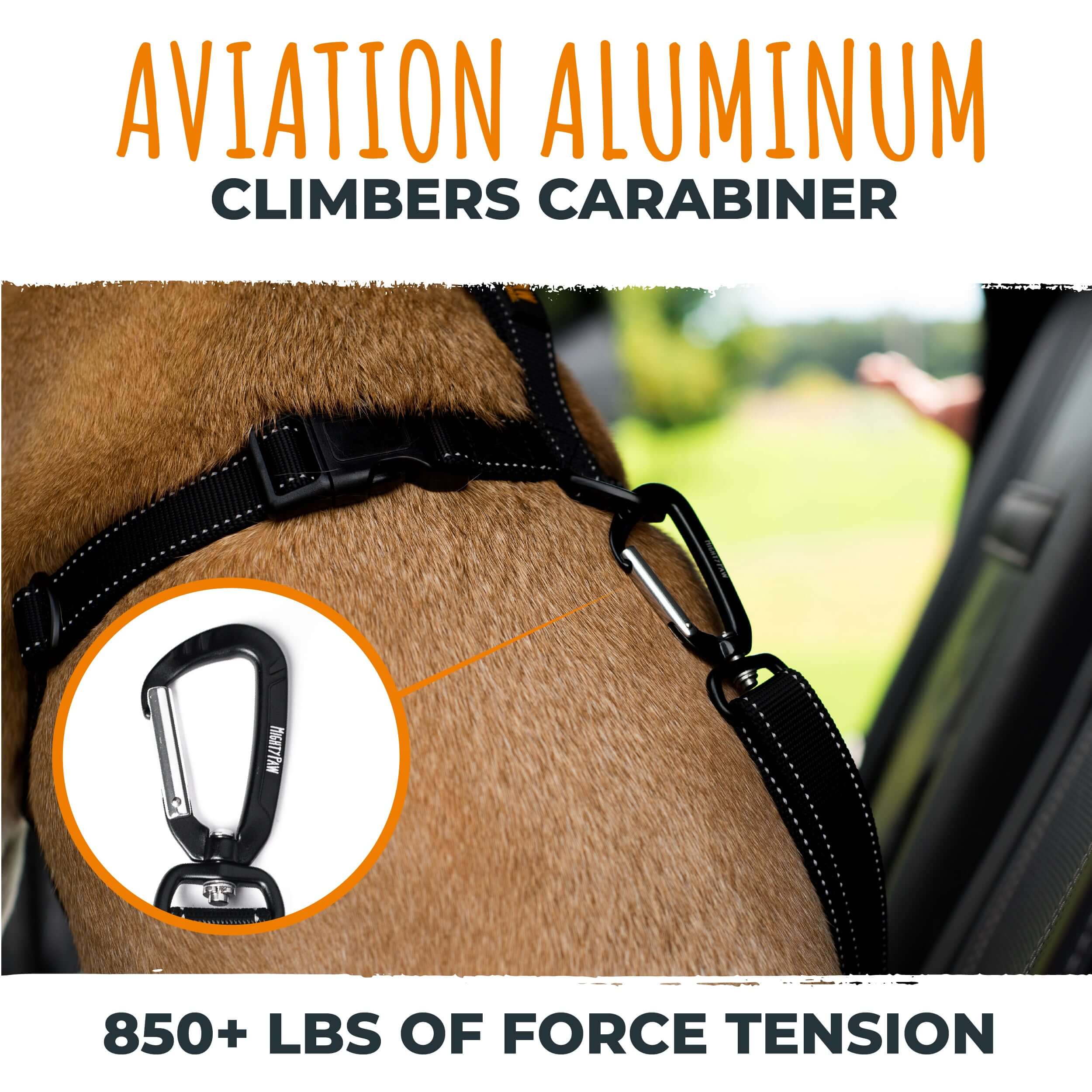 Buckle Seat Belt