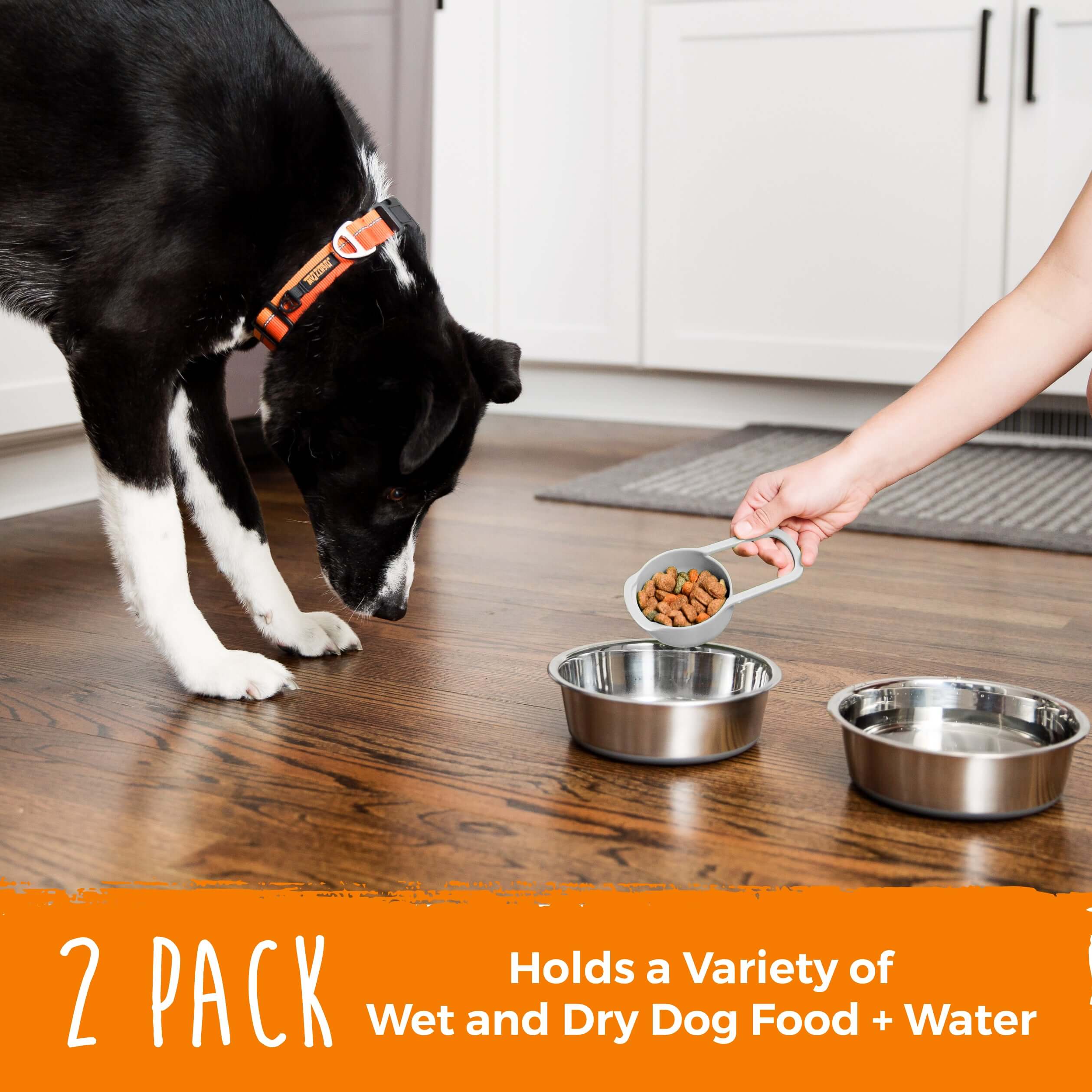 Dishwasher-Safe Stainless Steel Dog Bowls (2 Pack)