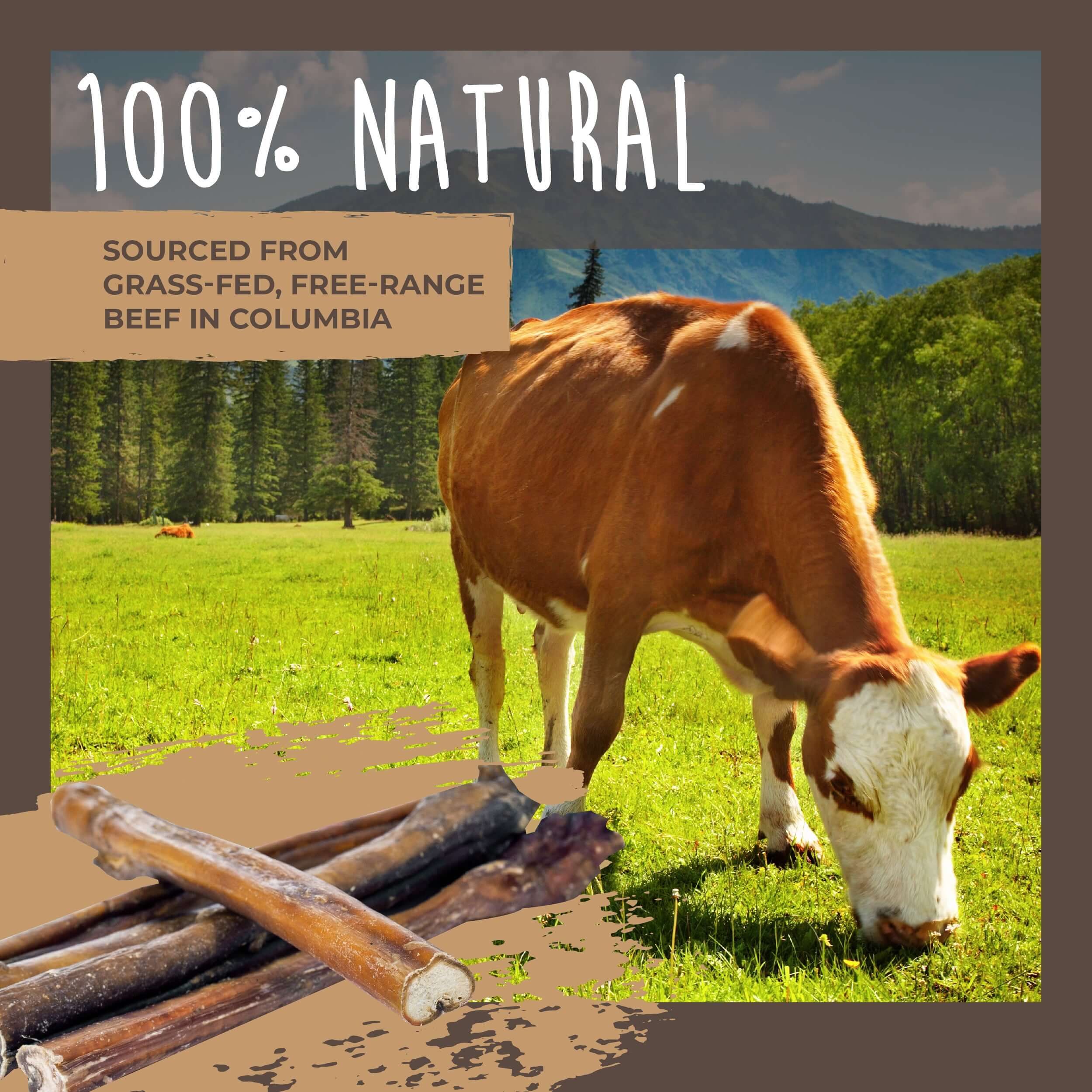 All-Natural Bully Sticks