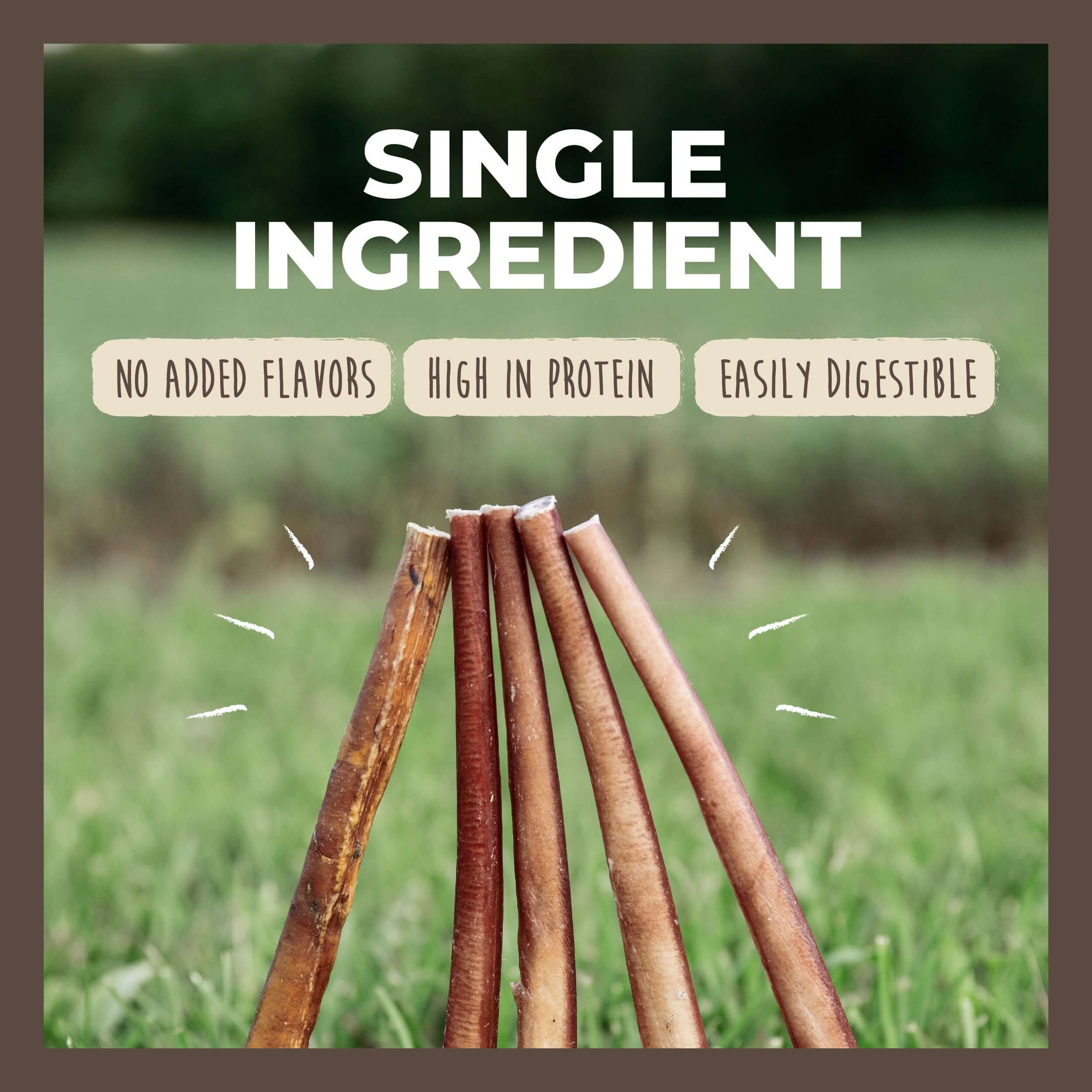 All-Natural Bully Sticks