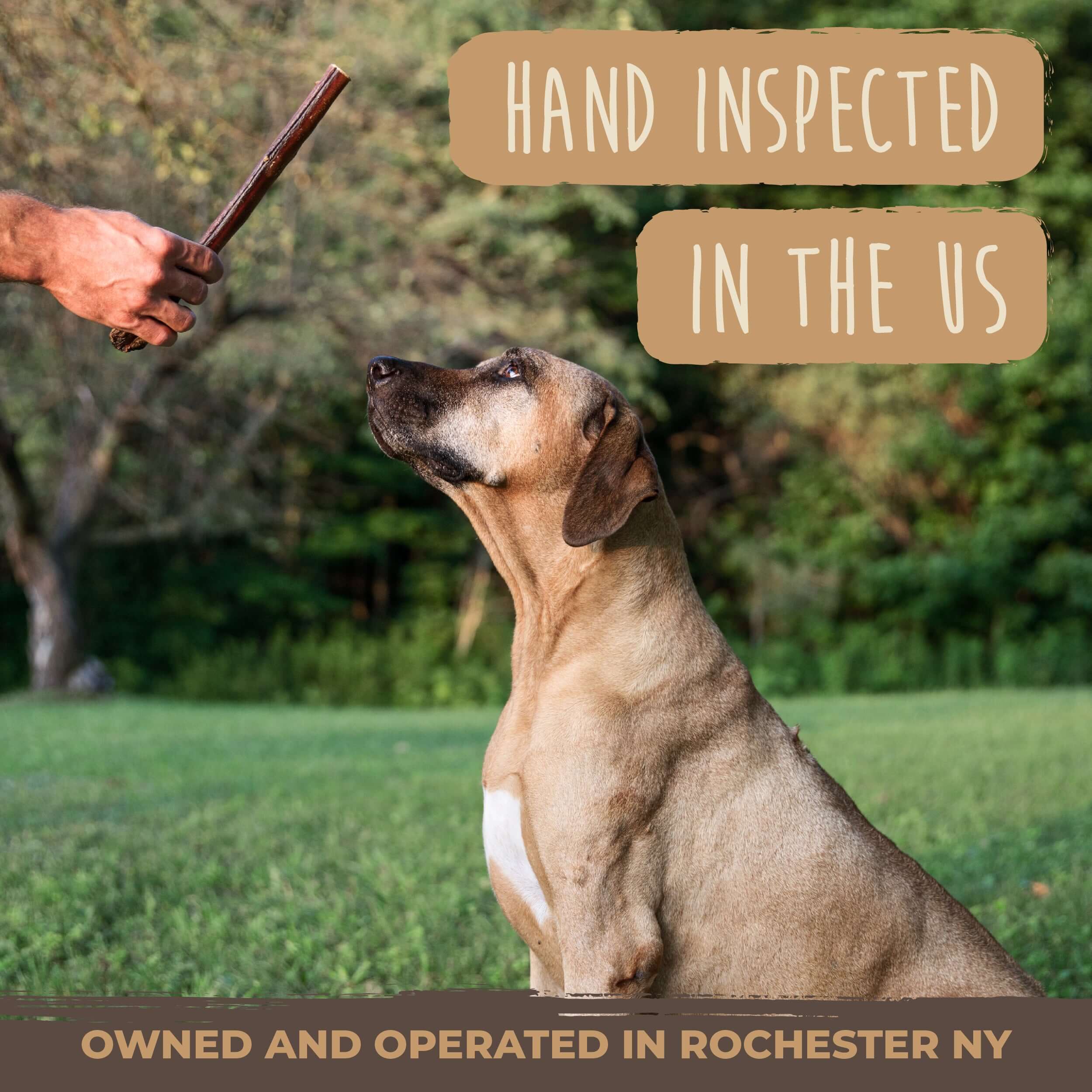 All-Natural Bully Sticks