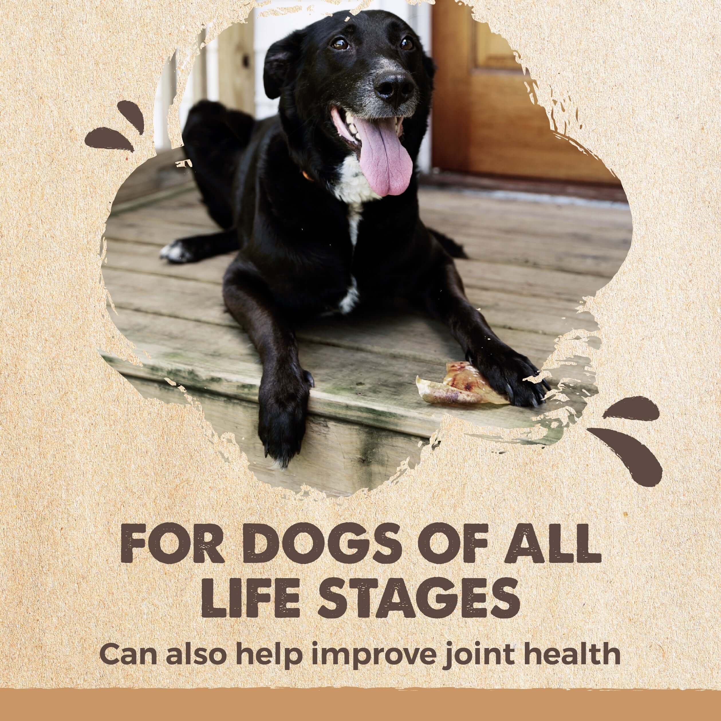 All-Natural Pig Ear Chews