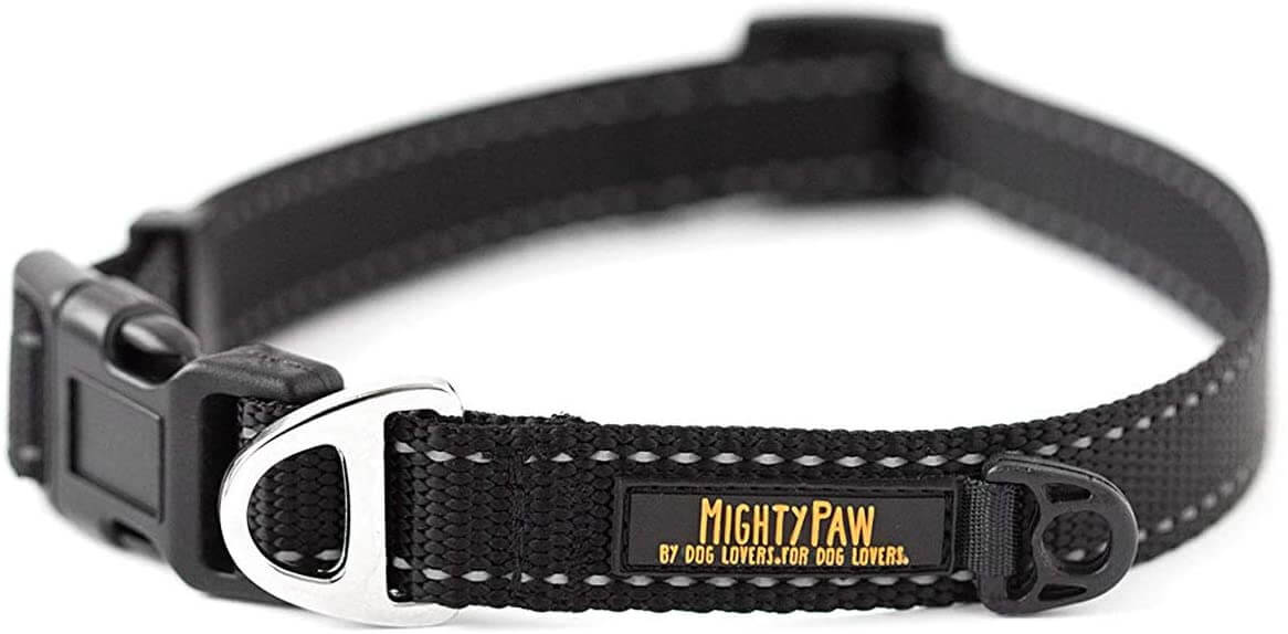 Reflective Standard Dog Collar