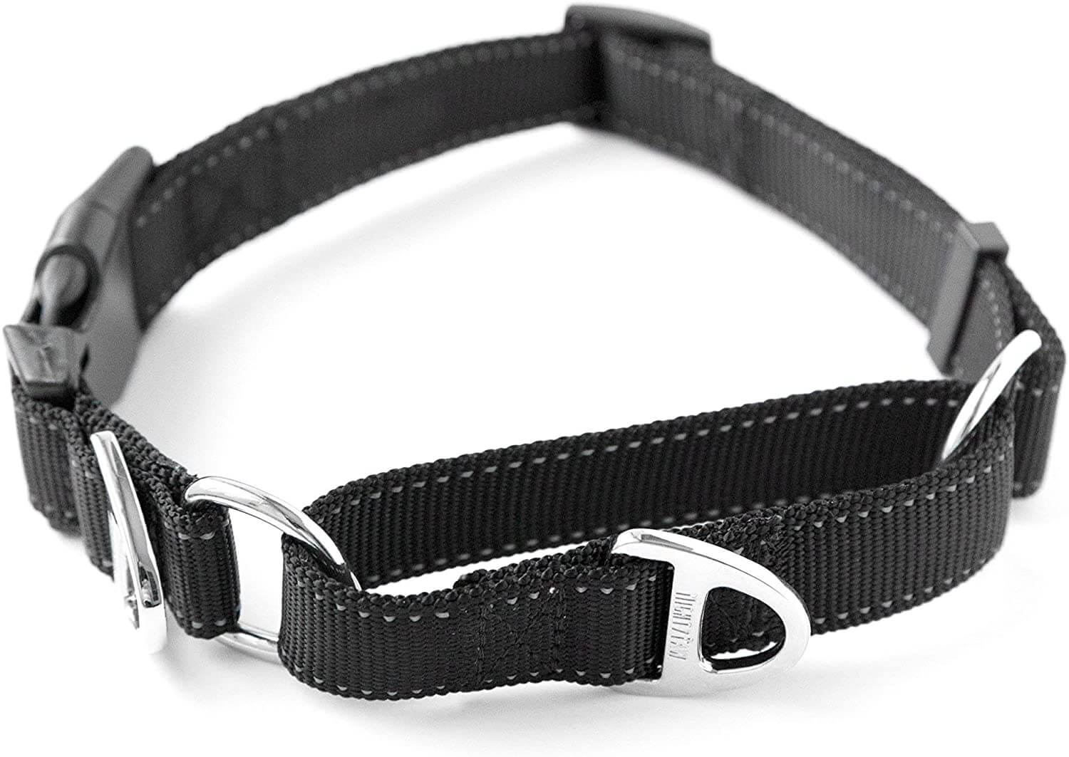 Nylon Martingale Cinch Dog Collar