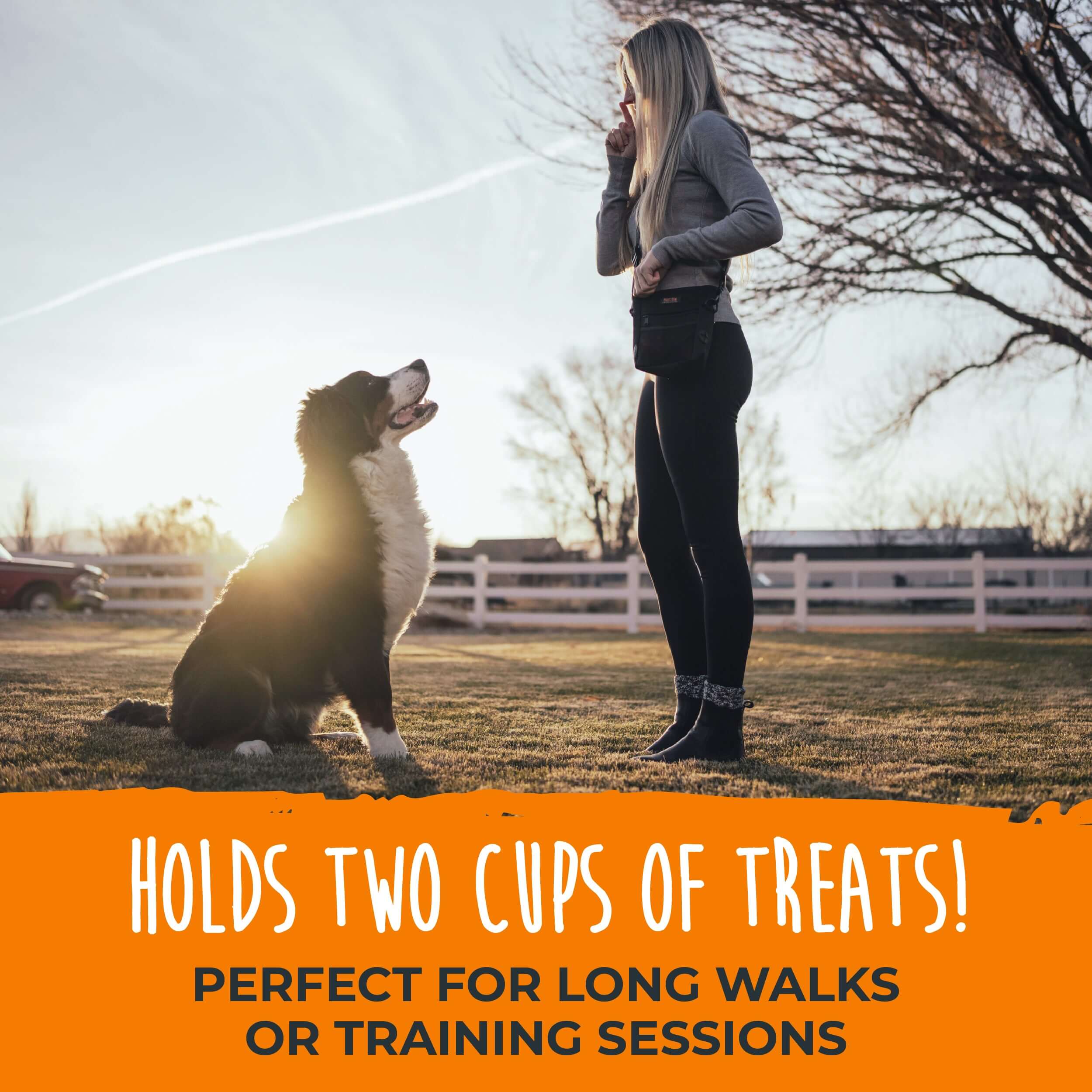 Treat Pouch 2.0