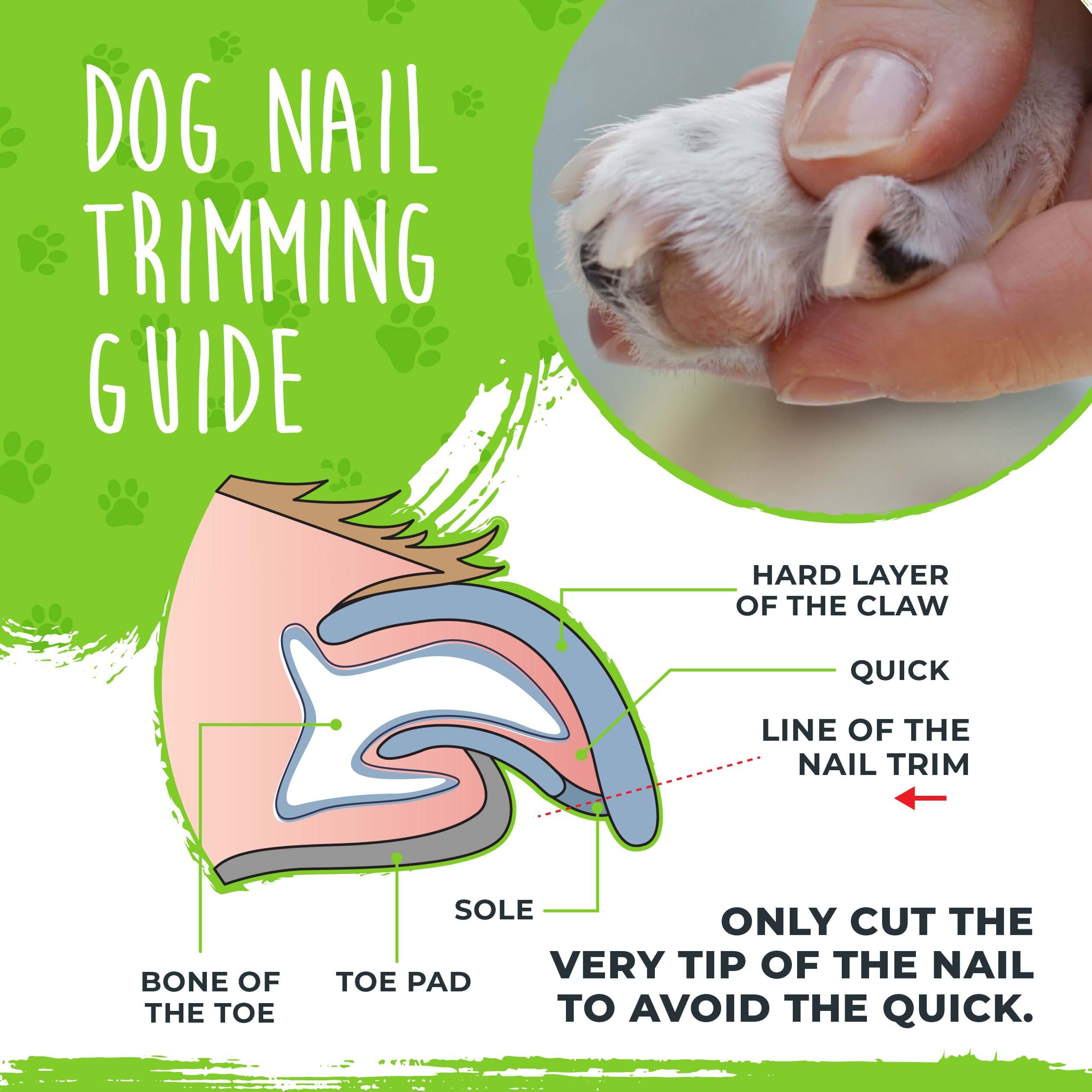 Professional Nail Clippers