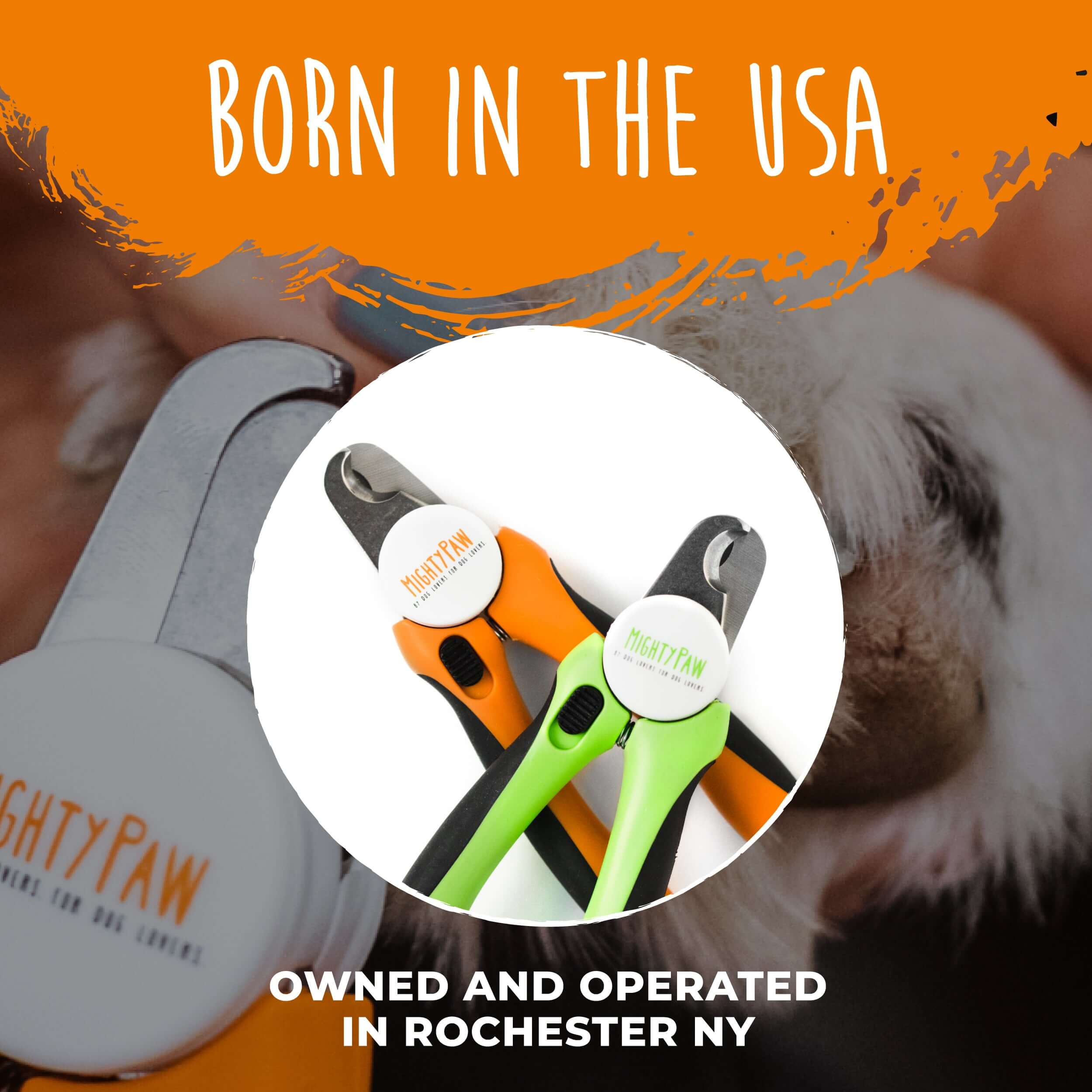 Professional Nail Clippers