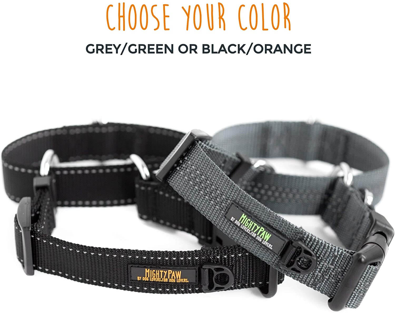 Nylon Martingale Cinch Dog Collar