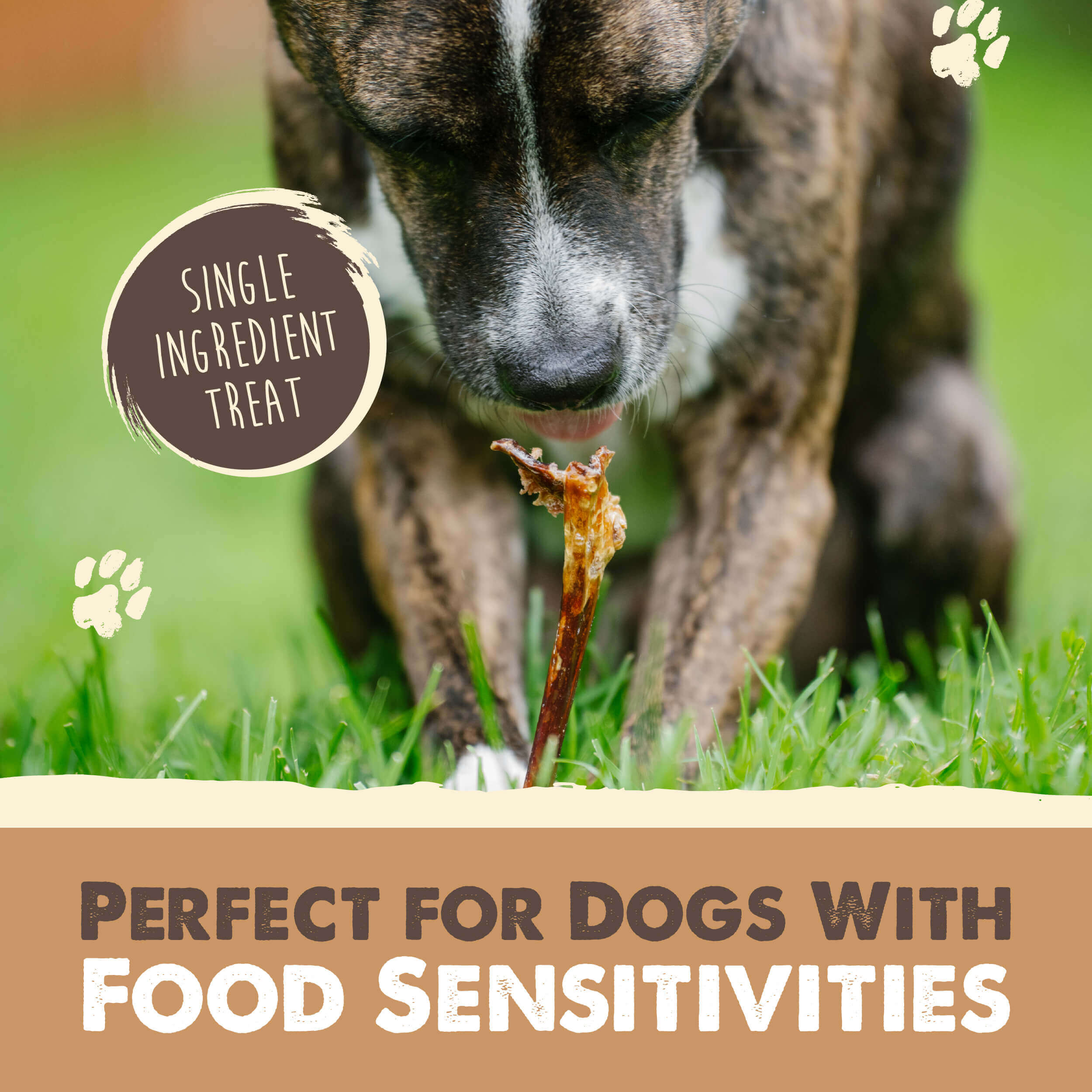 All-Natural Beef Collagen Sticks