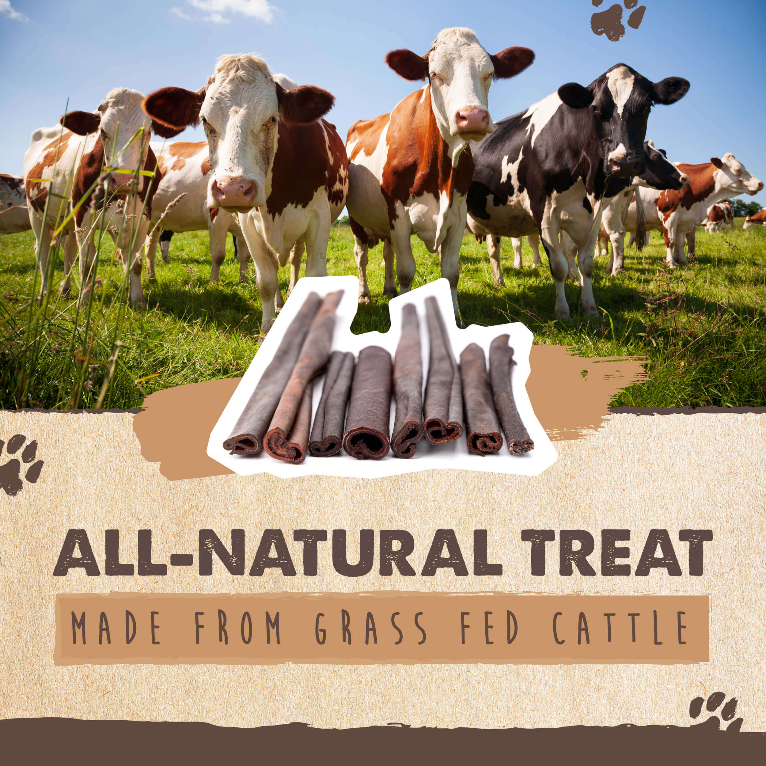 All-Natural Beef Collagen Sticks