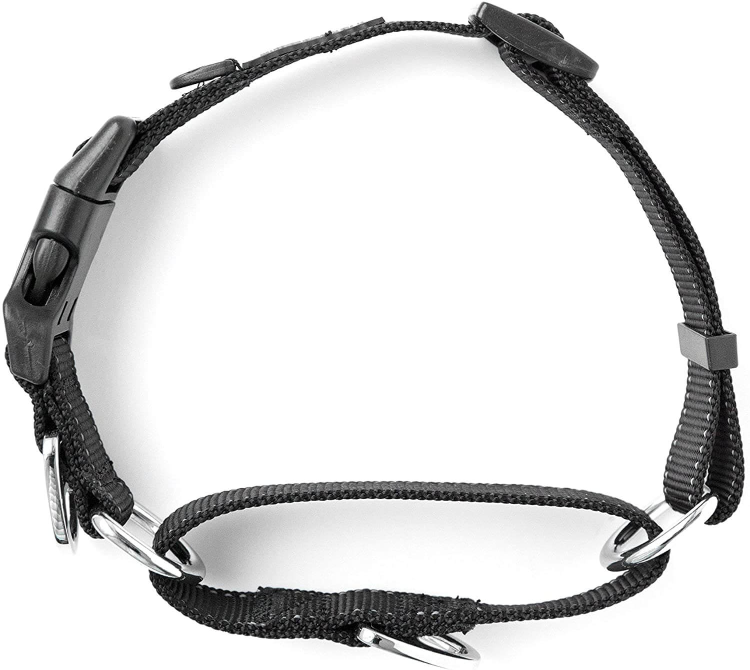 Nylon Martingale Cinch Dog Collar