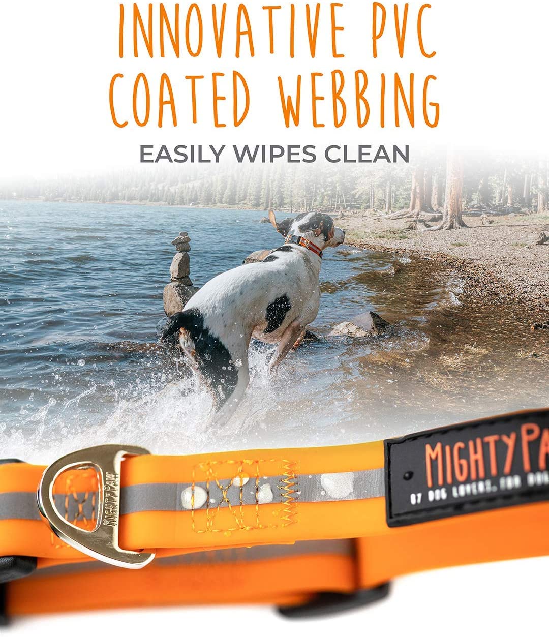 Waterproof Dog Collar, PVC Coated Webbing