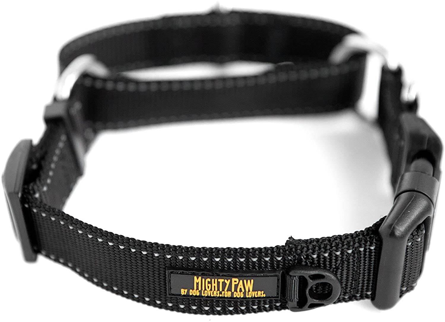 Nylon Martingale Cinch Collar