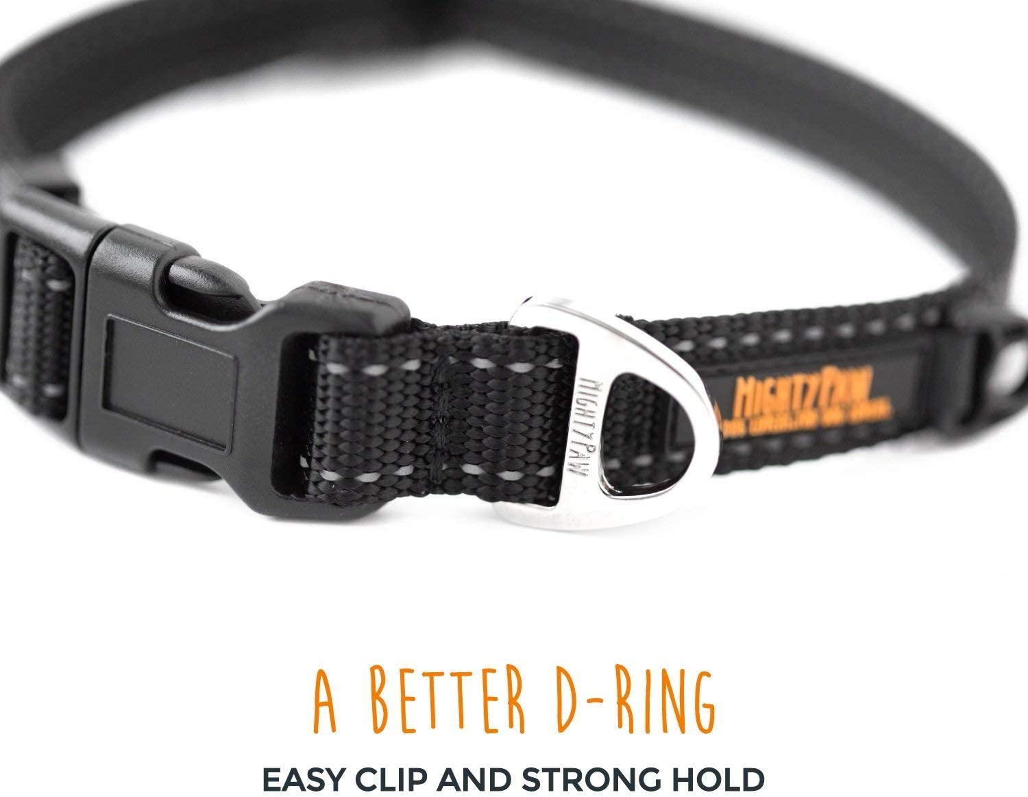 Reflective Standard Dog Collar