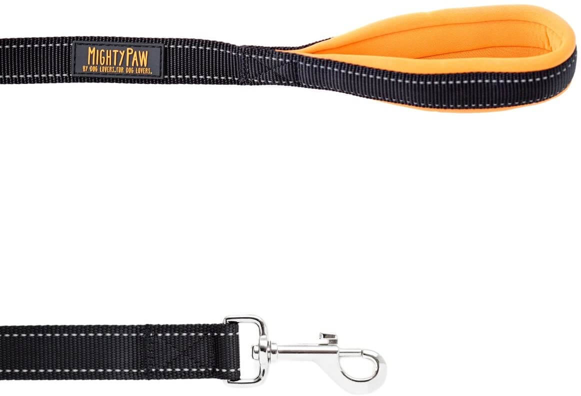 6-Foot Standard Dog Leash