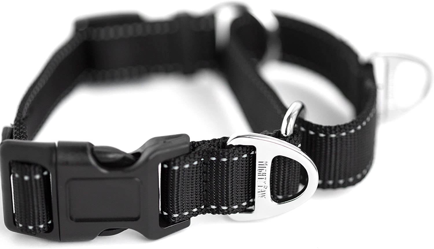 Nylon Martingale Cinch Collar