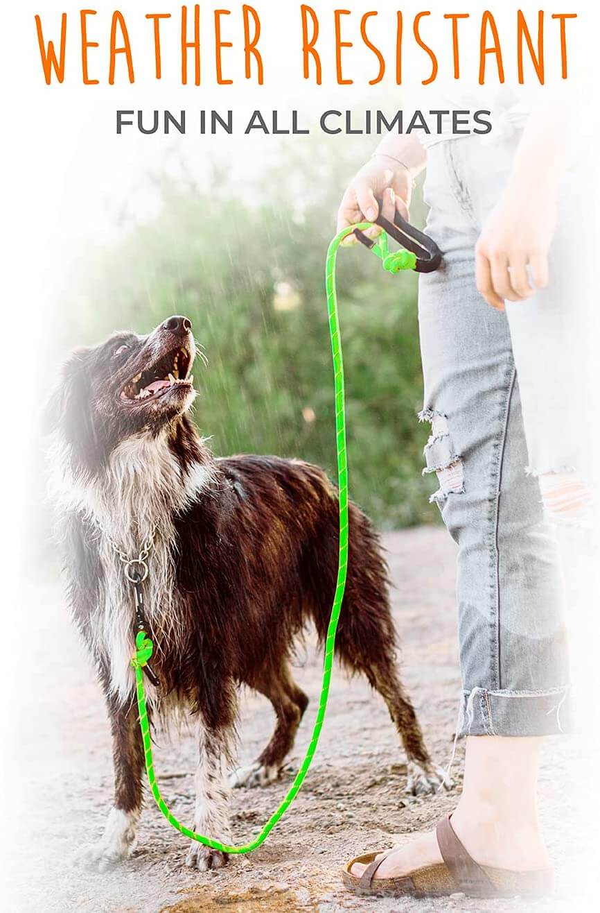 Climber’s Rope Leash