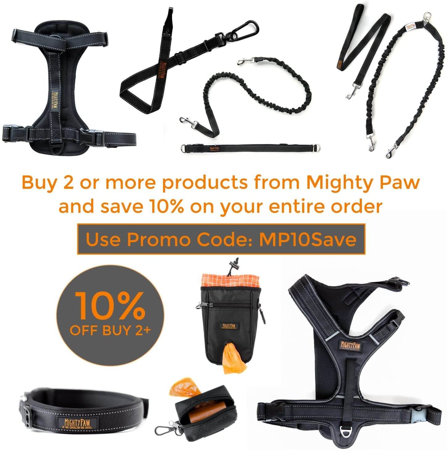 Mighty Paw Standard 6-Foot Dog Leash