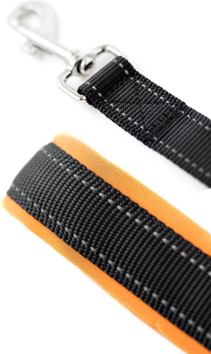6-Foot Standard Dog Leash
