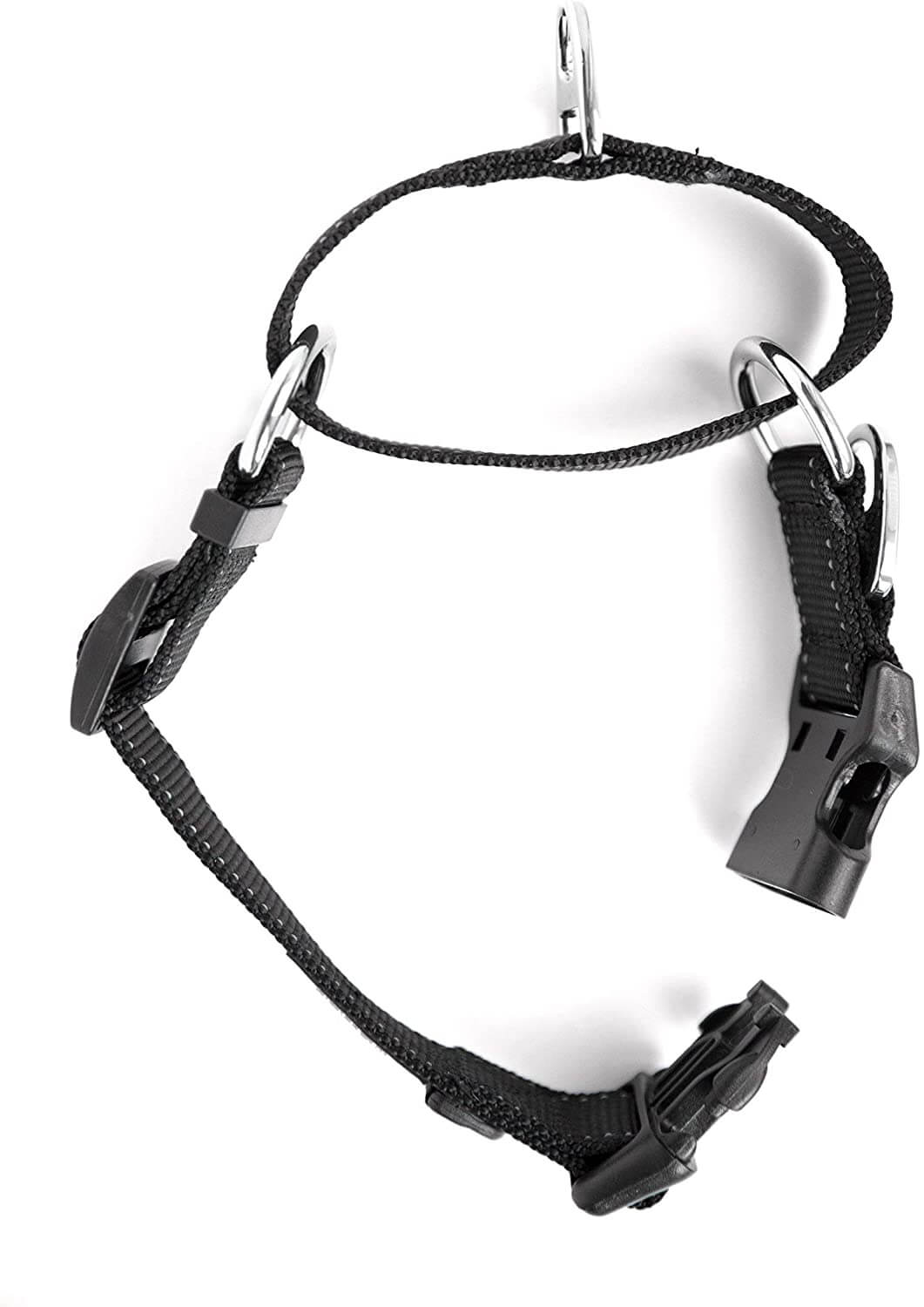 Nylon Martingale Cinch Dog Collar