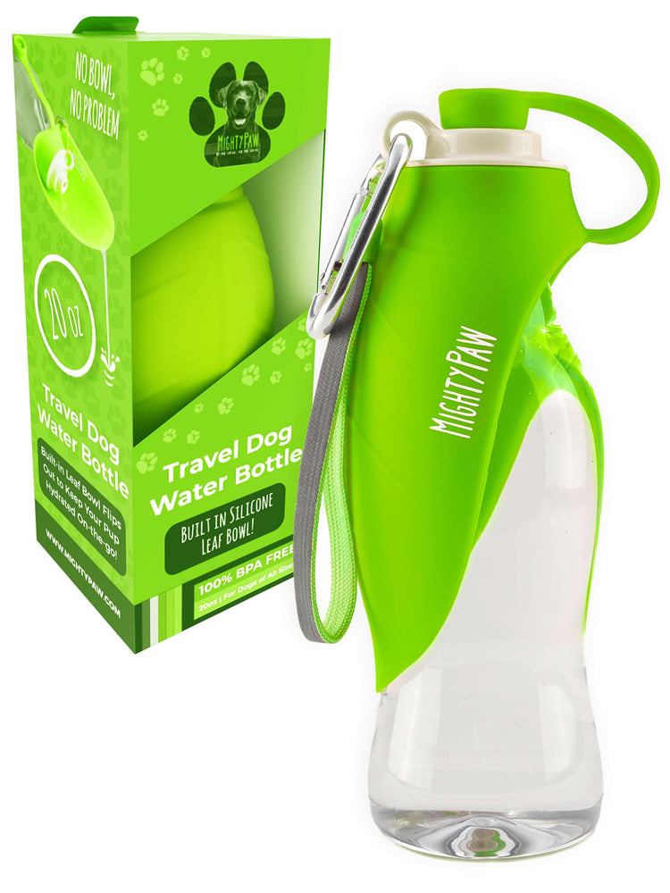 Travel Water Bottle