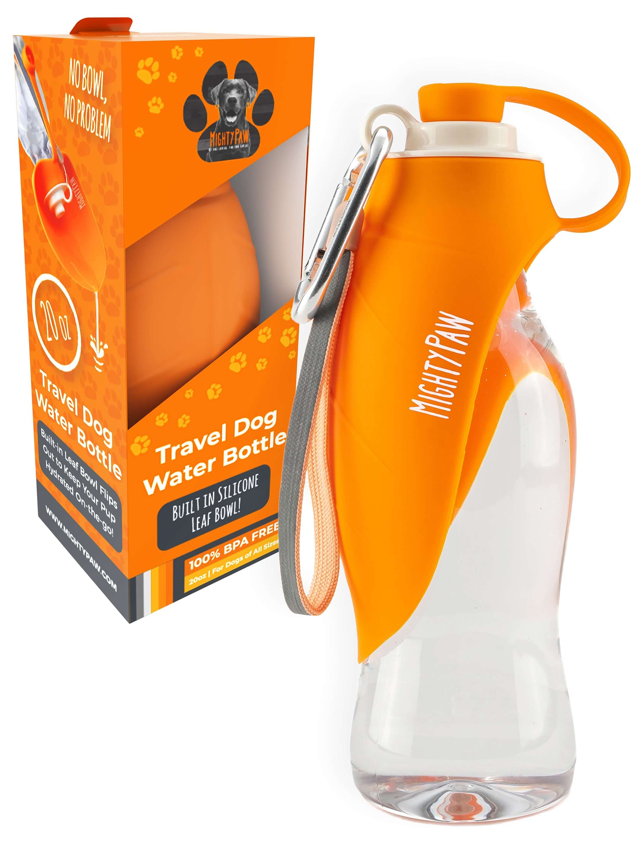 Travel Water Bottle