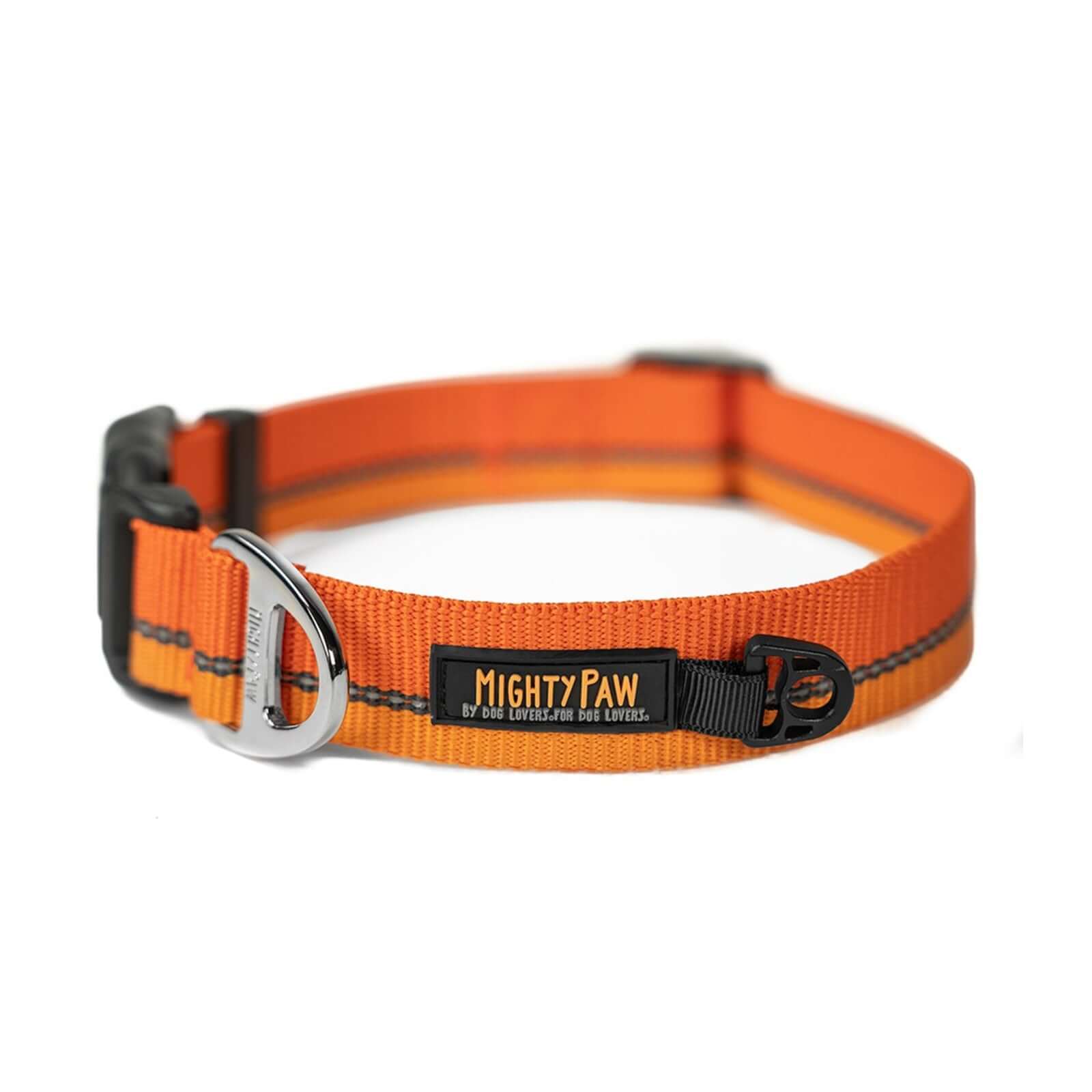 Standard Reflective Colorblast Dog Collar