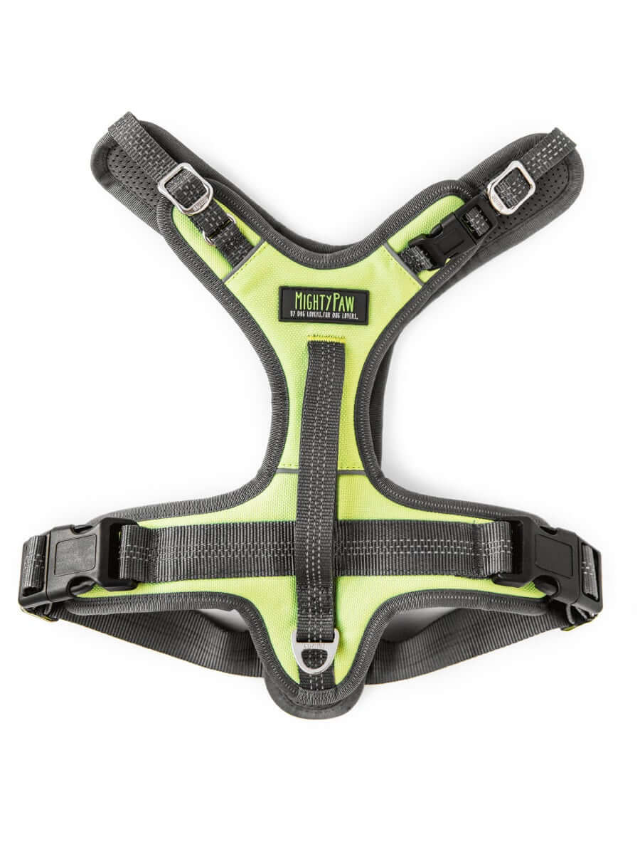 Comfortable No Pull Dog Harness with Neck Buckle