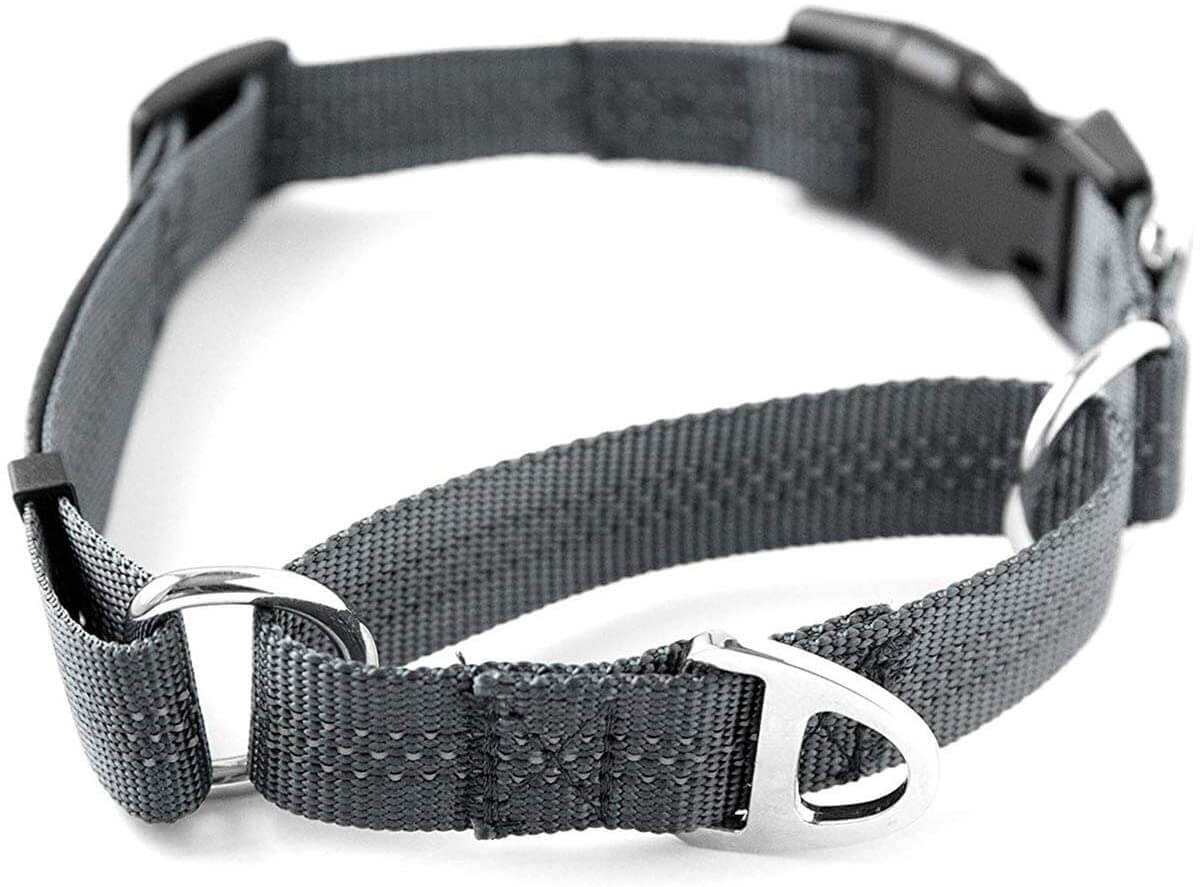 Nylon Martingale Cinch Dog Collar