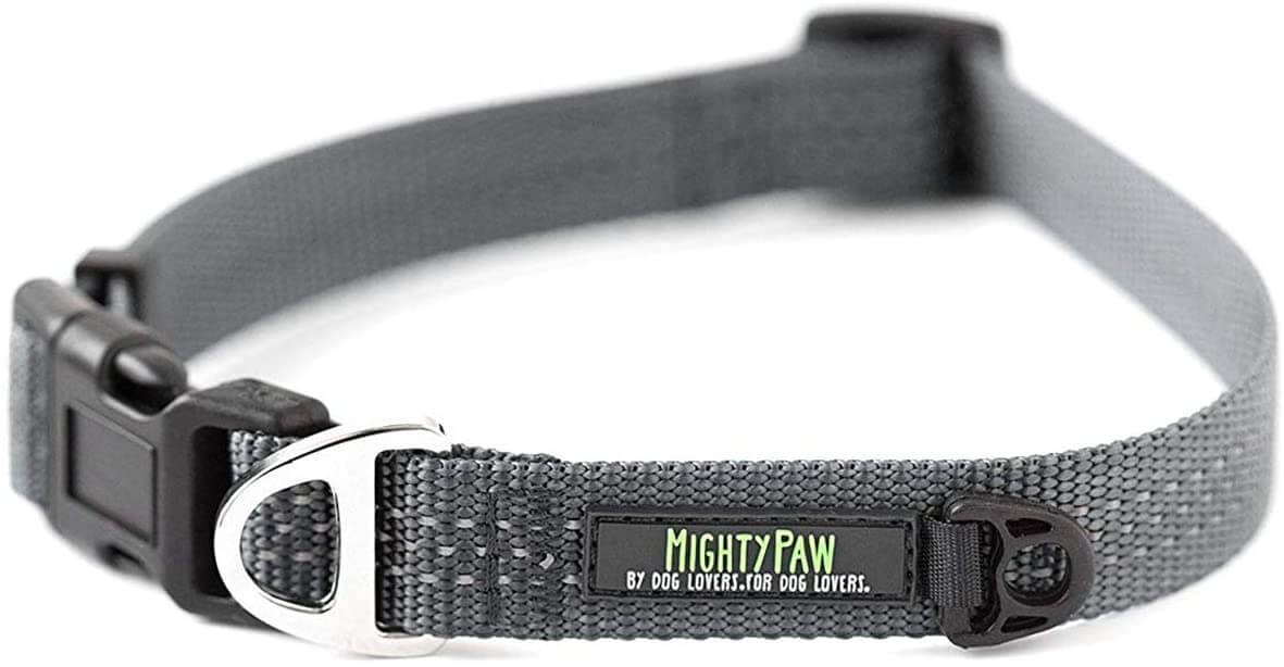 Reflective Standard Dog Collar