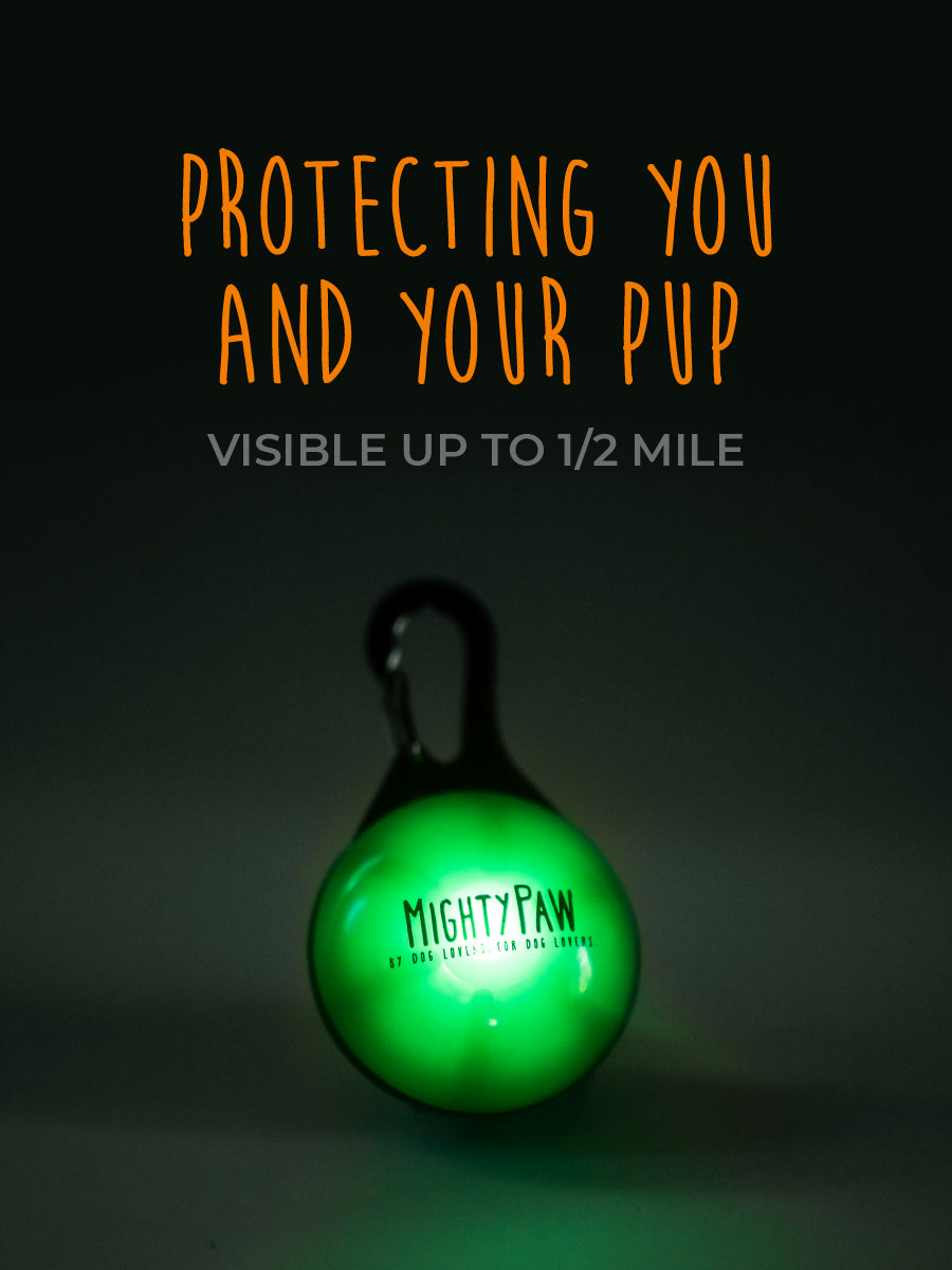 Mighty Paw LED Dog Safety Lights: Illuminate Your Nighttime Walks (2pk)