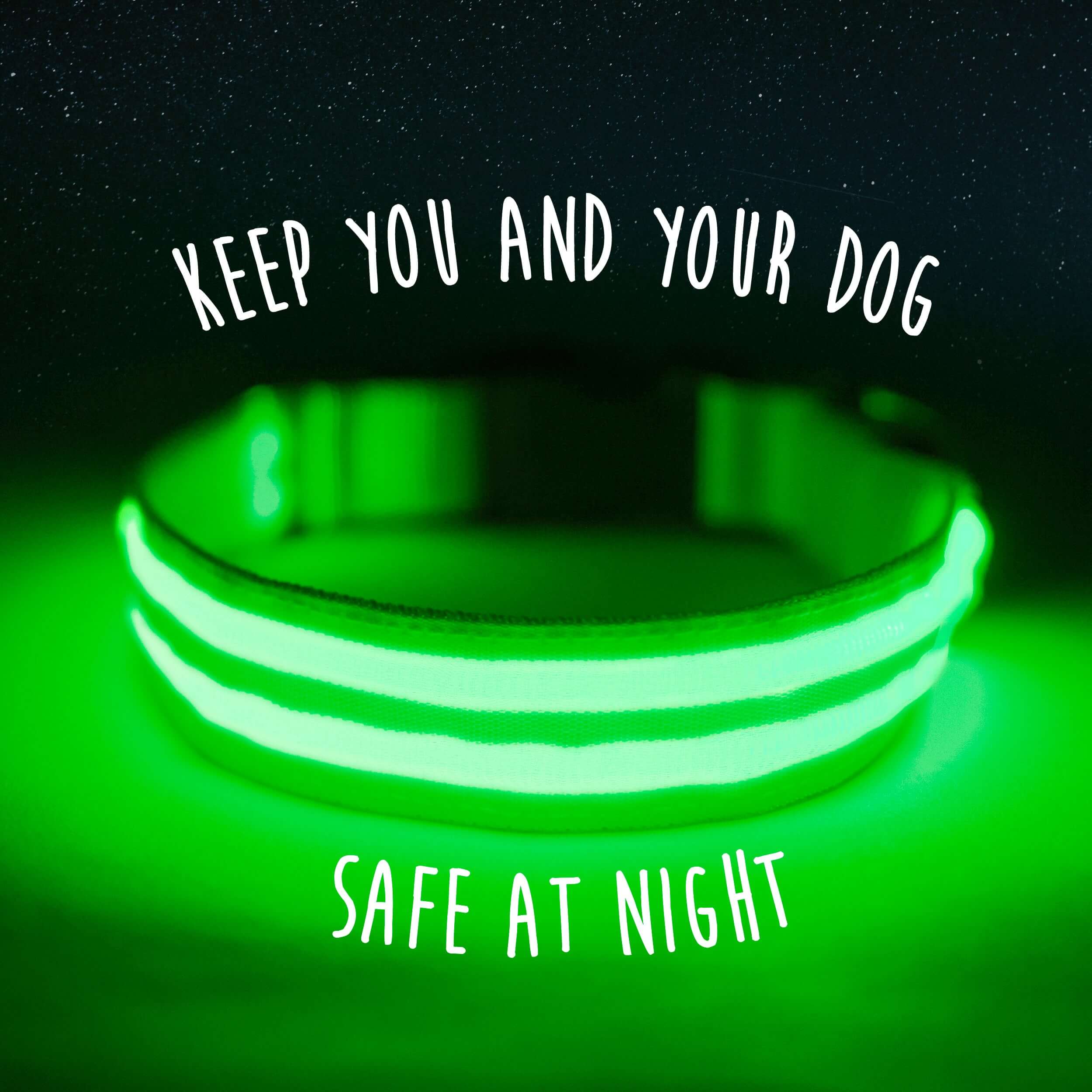 LED Dog Collar