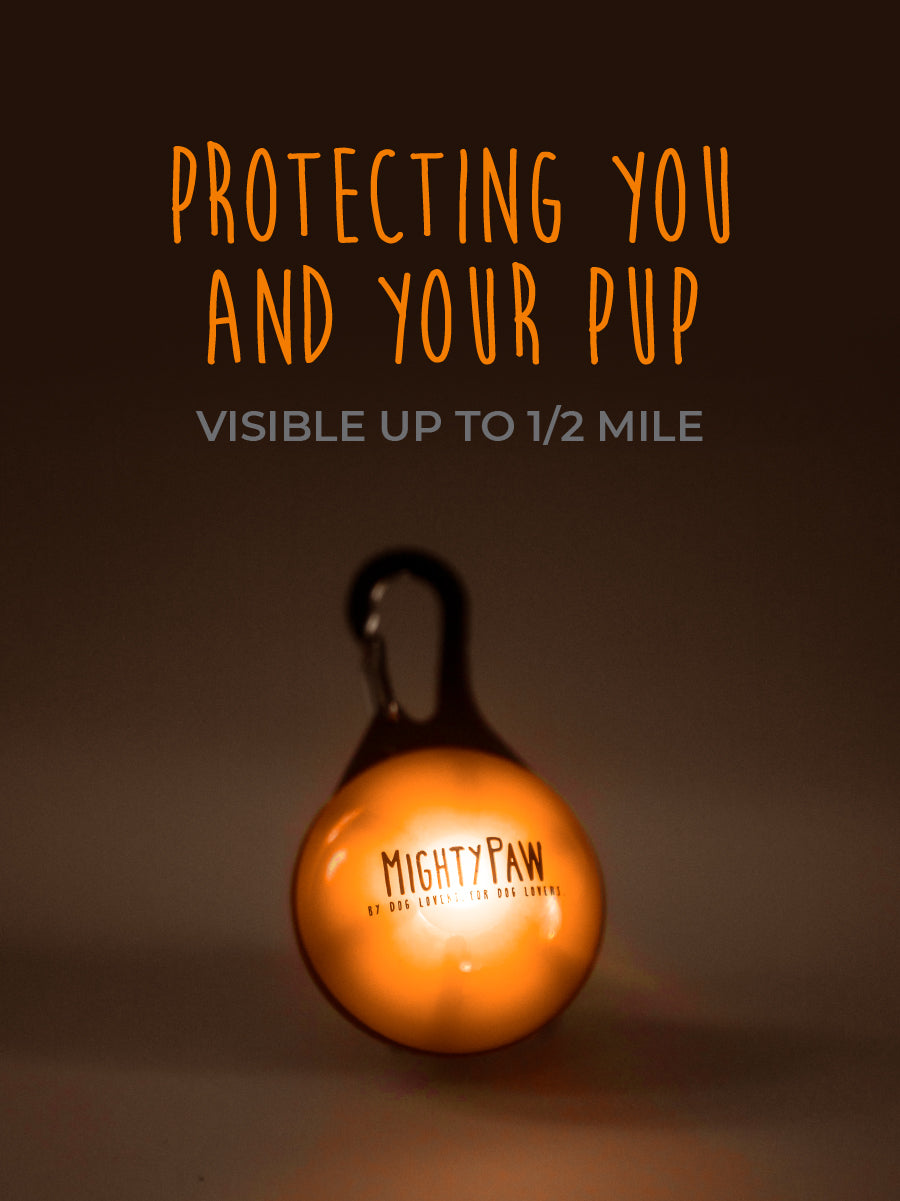 Mighty Paw LED Dog Safety Light (2 Pack)