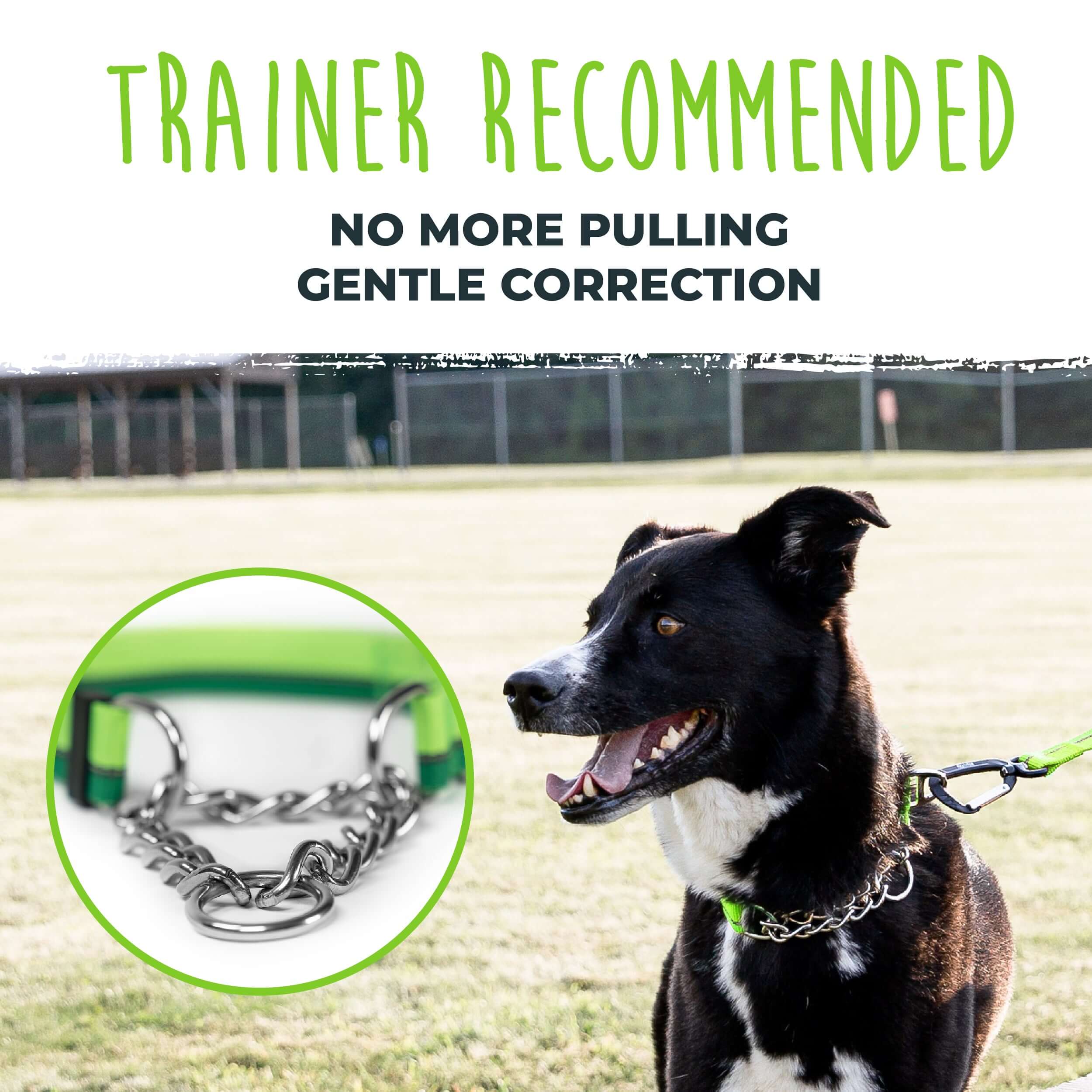 Martingale Dog Training Collar 2.0 - Gentle Yet Effective