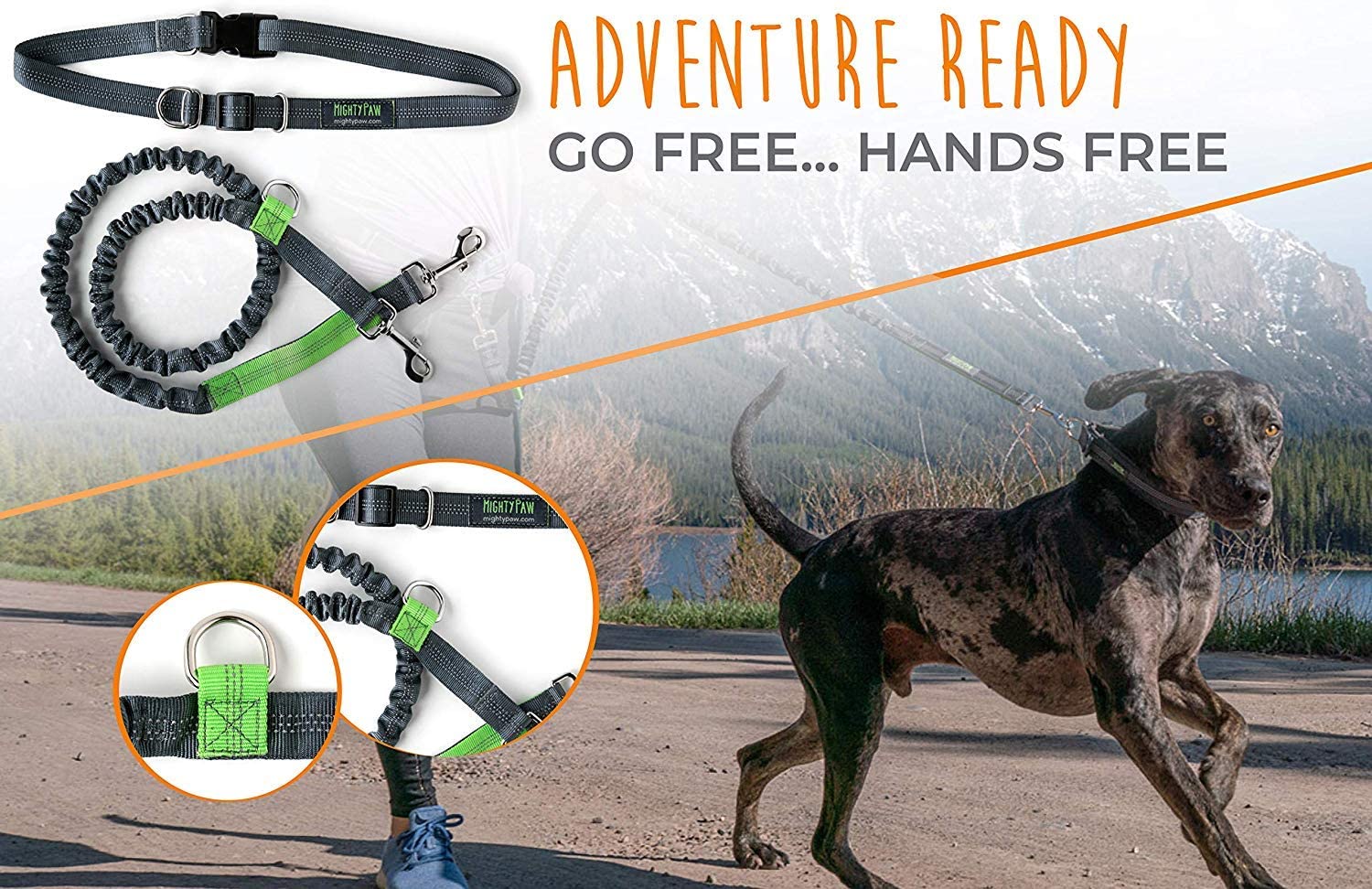 Hands-Free Bungee Leash Set