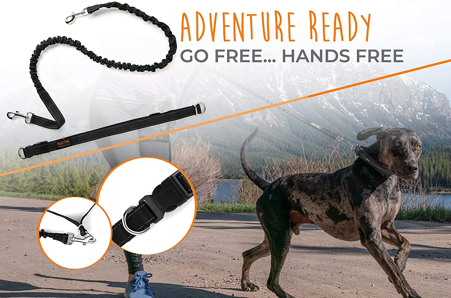 Hands-Free Bungee Leash Set