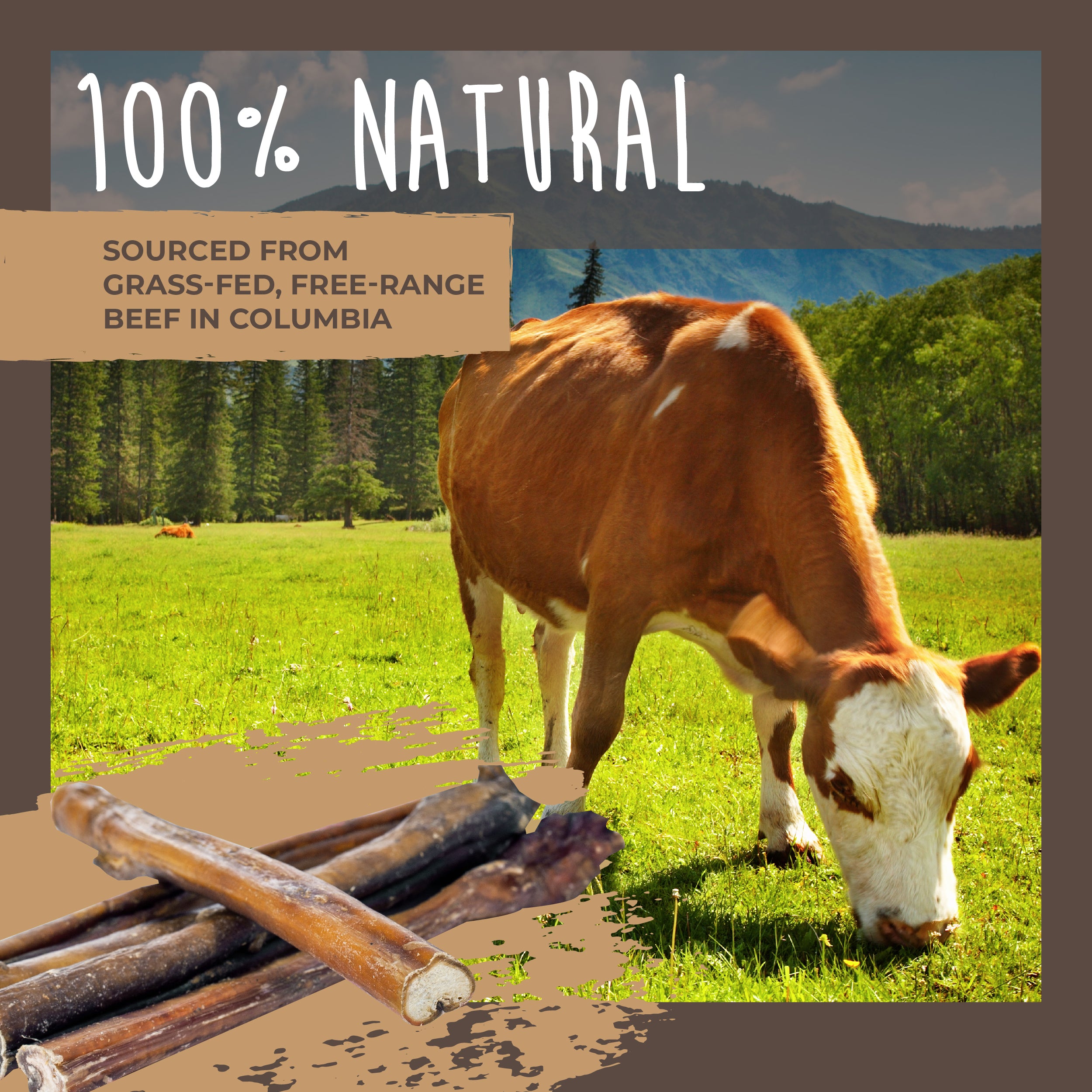 Bulk All-Natural Bully Sticks