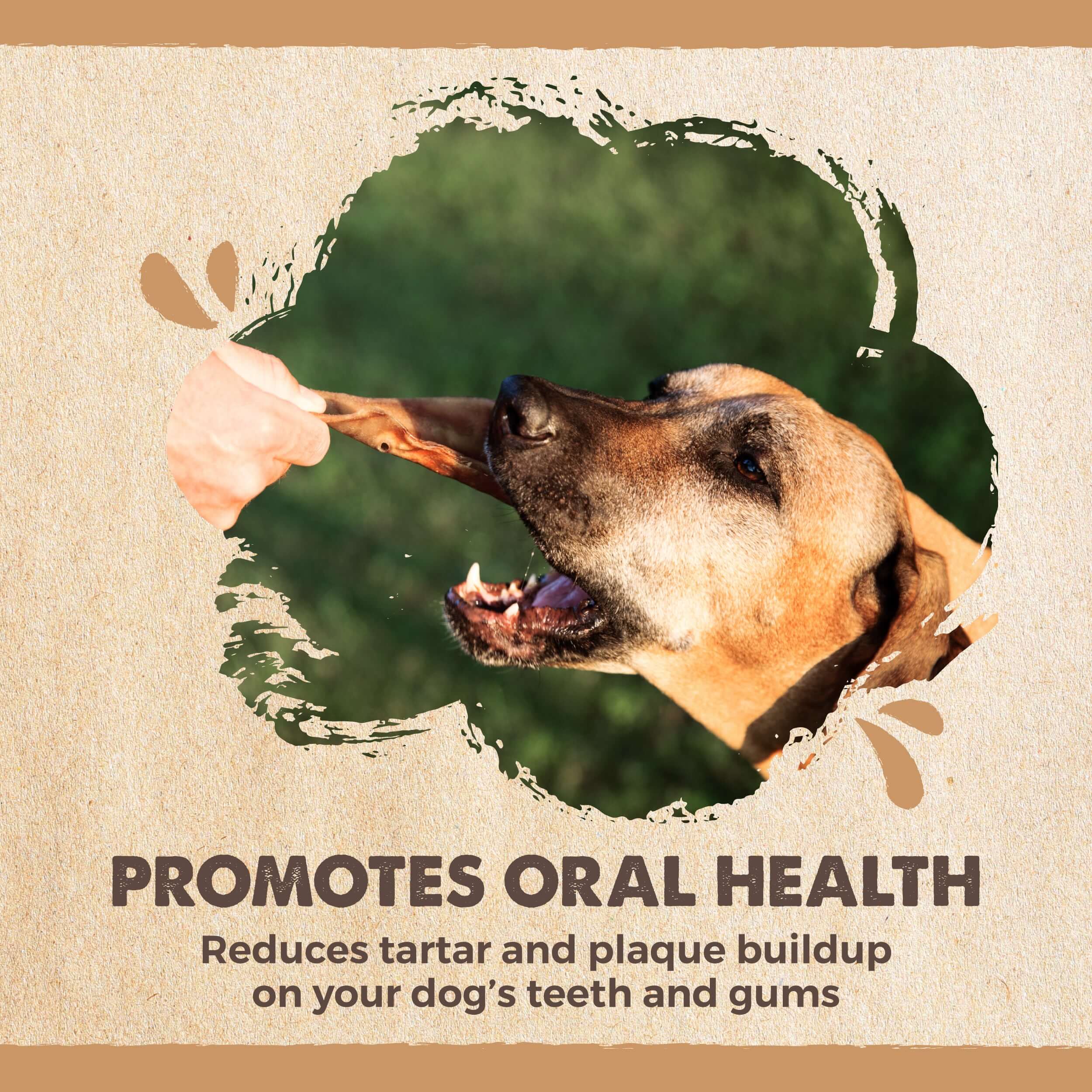 All-Natural Pig Ear Chews