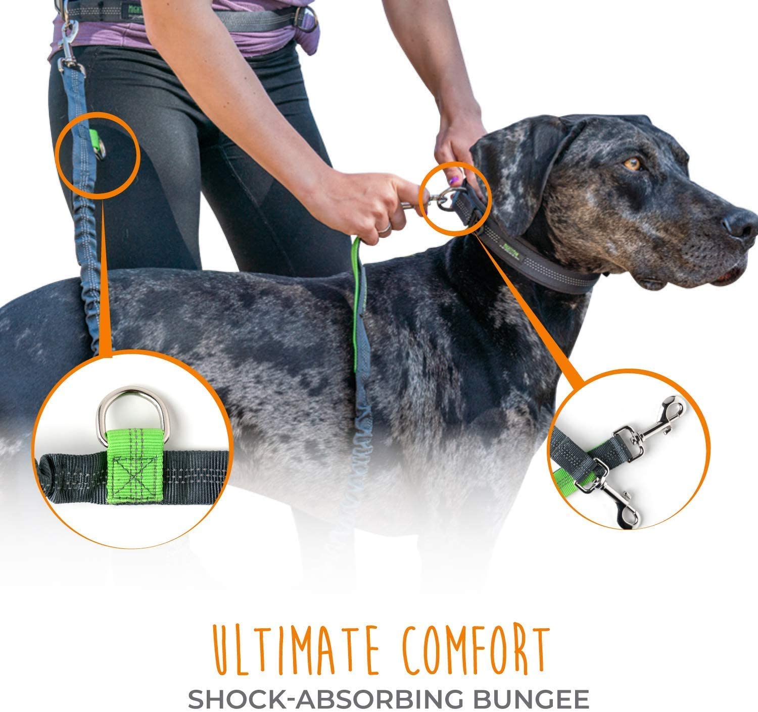 Mighty Paw Hands-Free Bungee Leash Set for Active Dog Owners