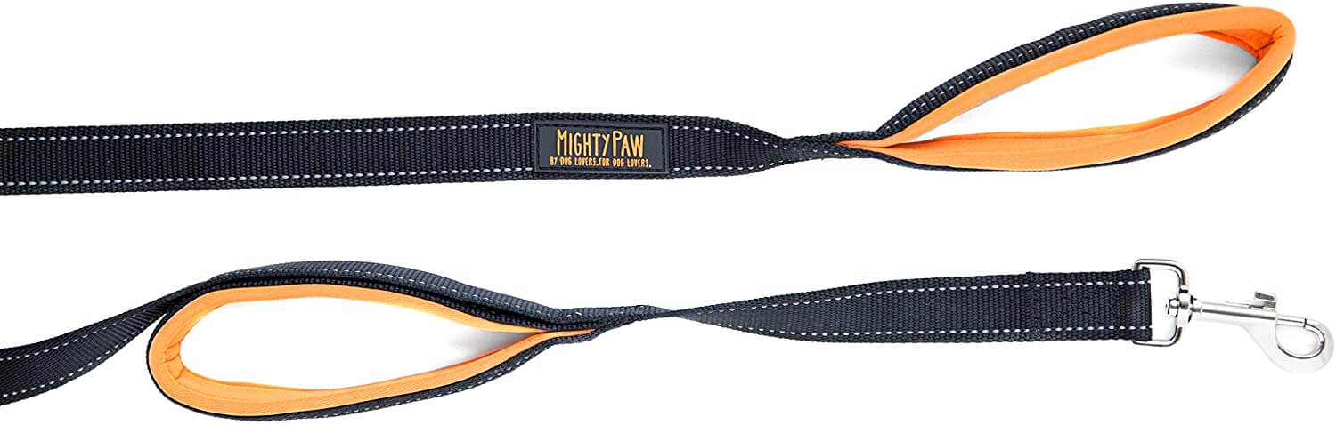 6-Foot Dual Handle Leash