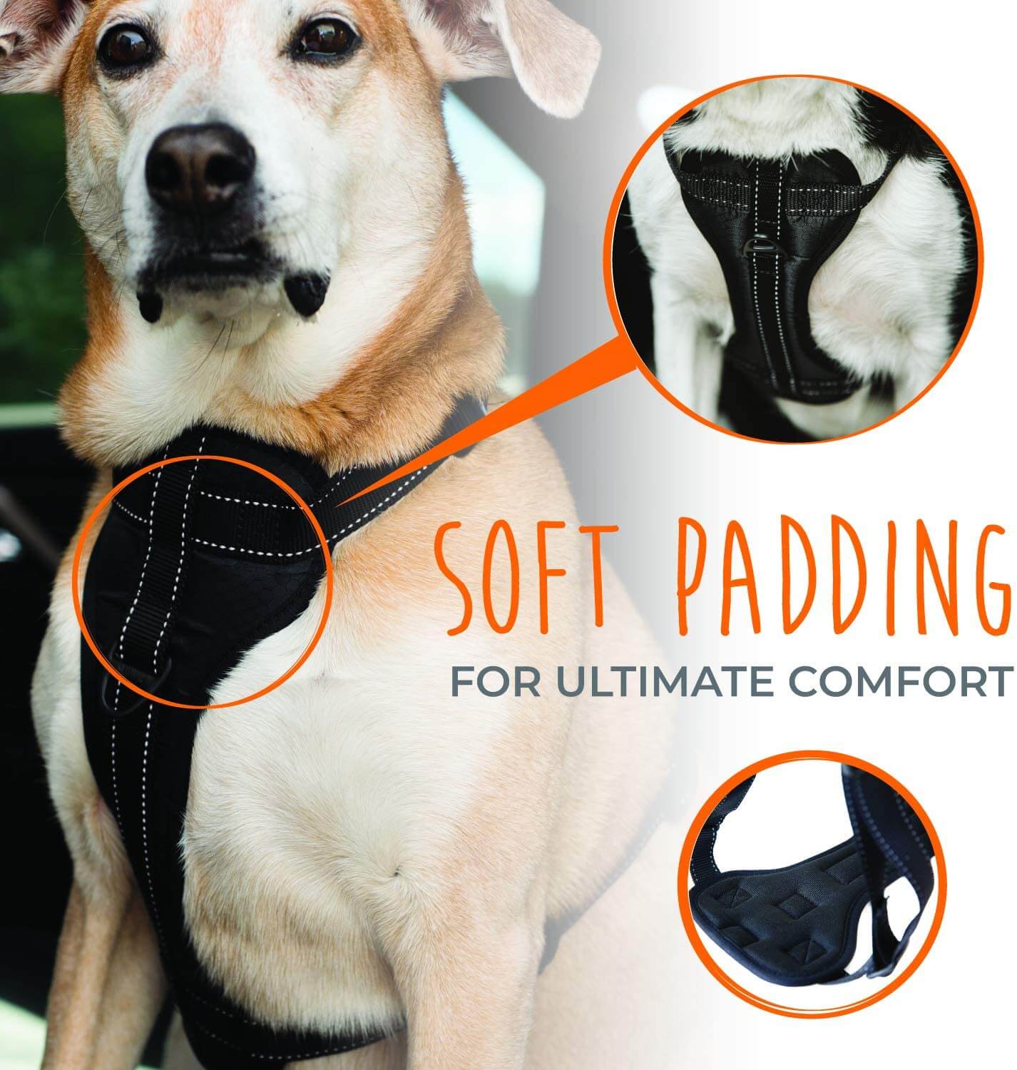 Vehicle Safety Harness | Dog Car Harness