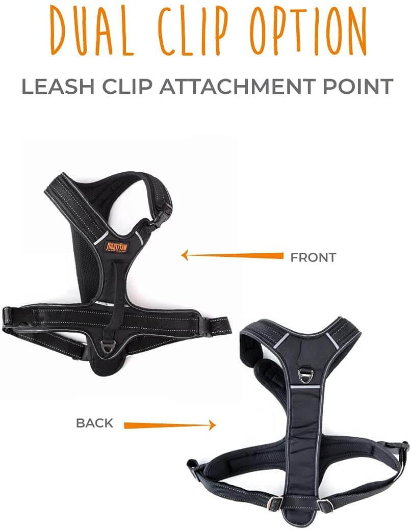 Sport Dog Harness
