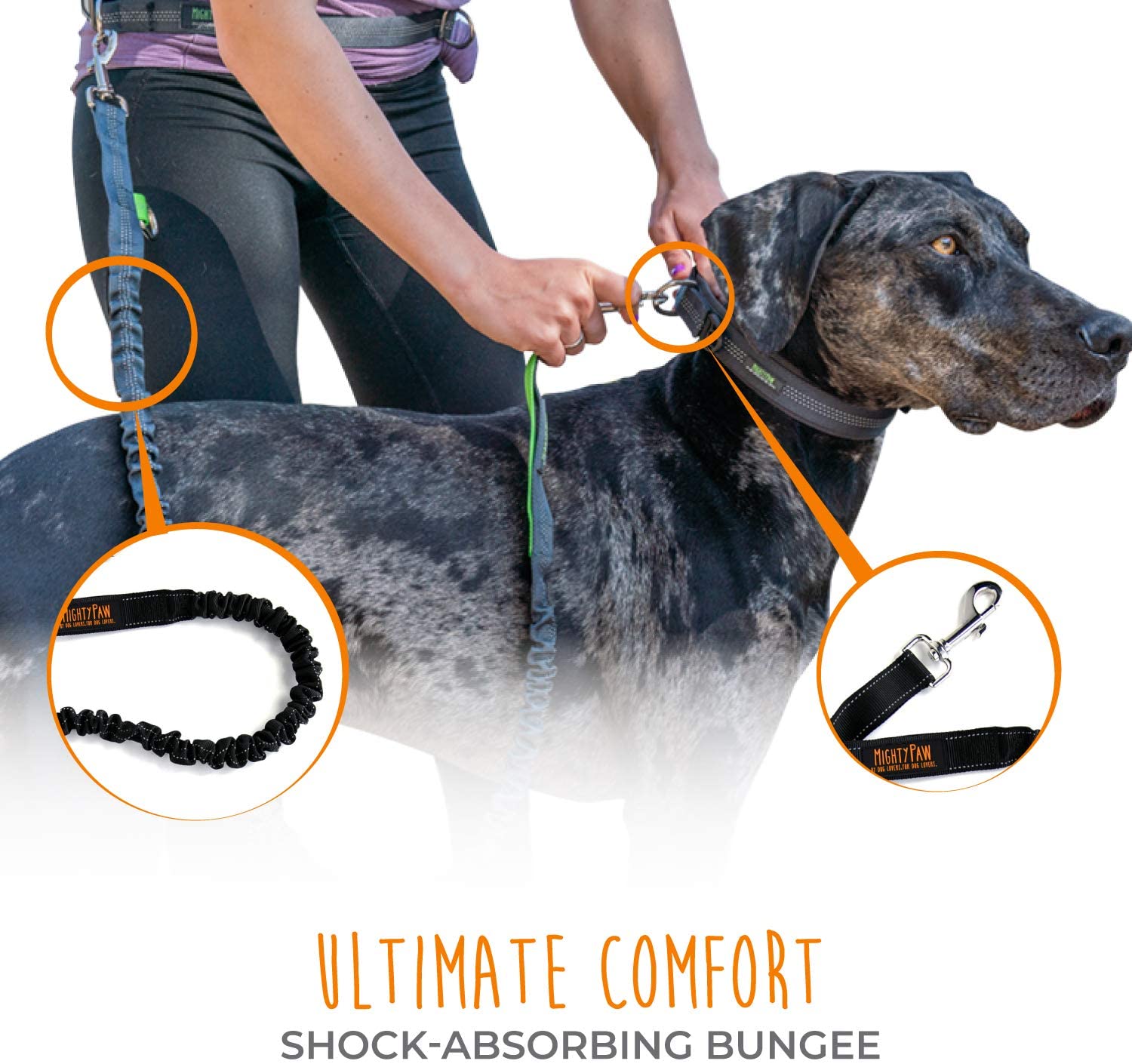 Hands-Free Bungee Leash Set