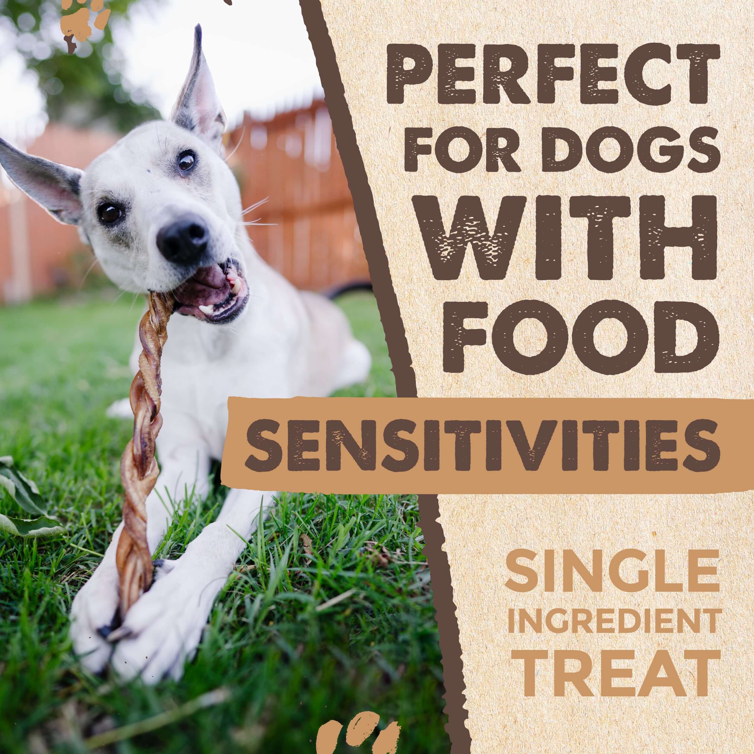 All-Natural Braided Bully Sticks