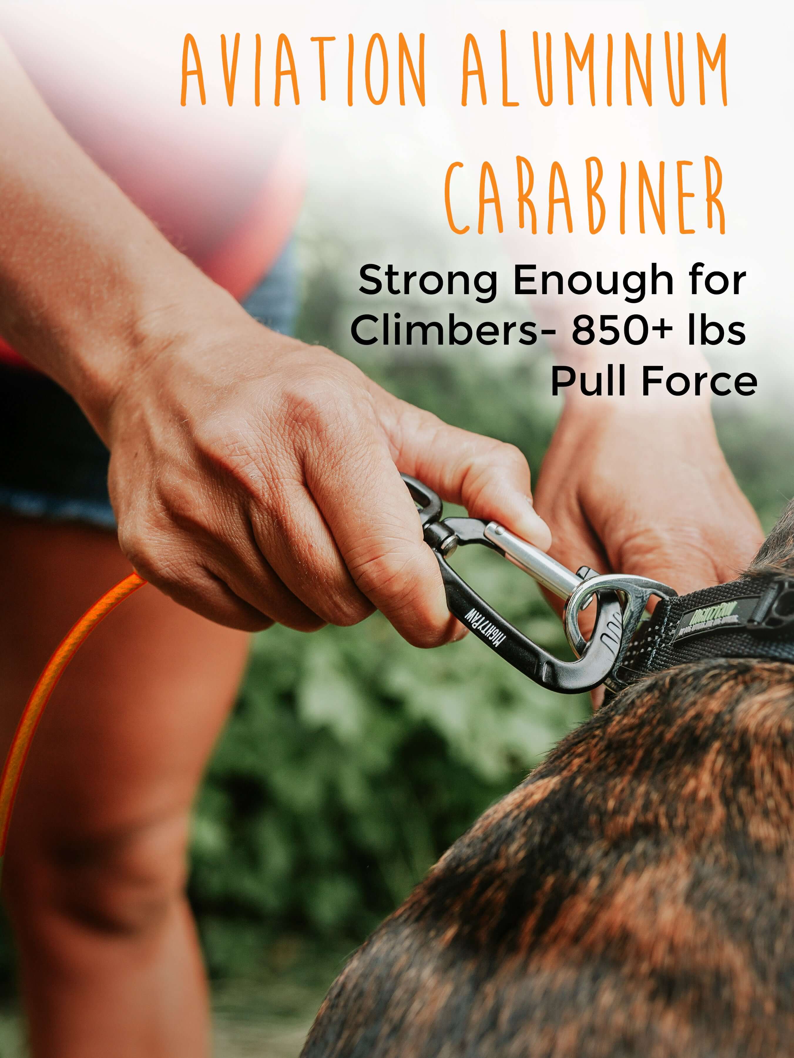 6-Foot Chew-Proof Cable Leash