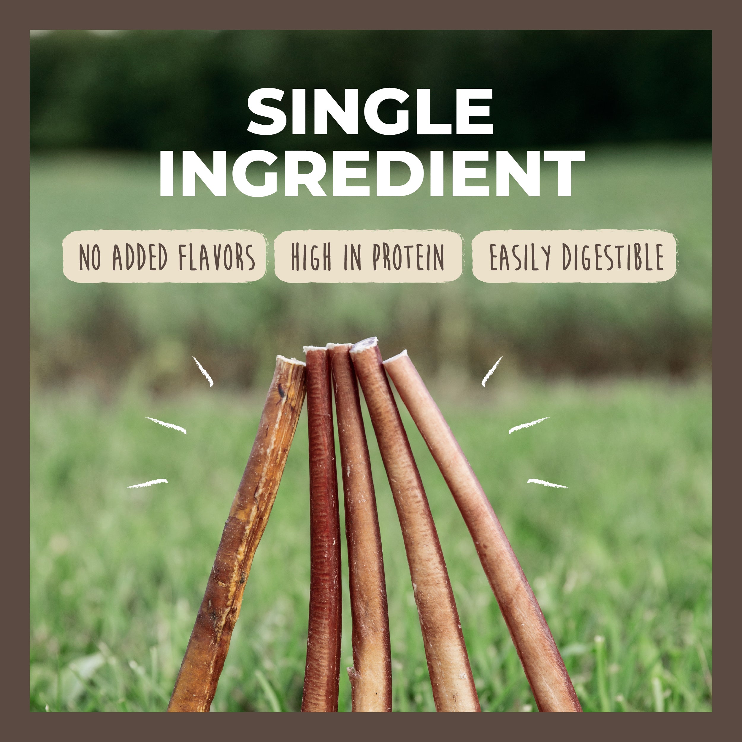 Bulk All-Natural Bully Sticks