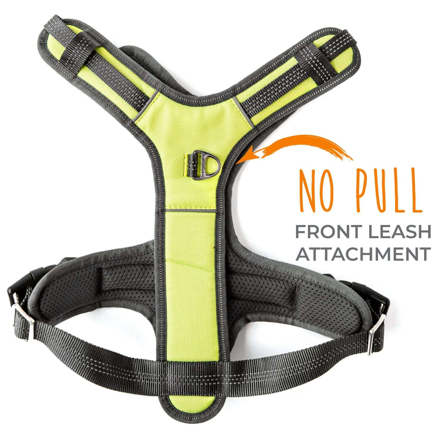 Sport Dog Harness 2.0 With Neck Buckle