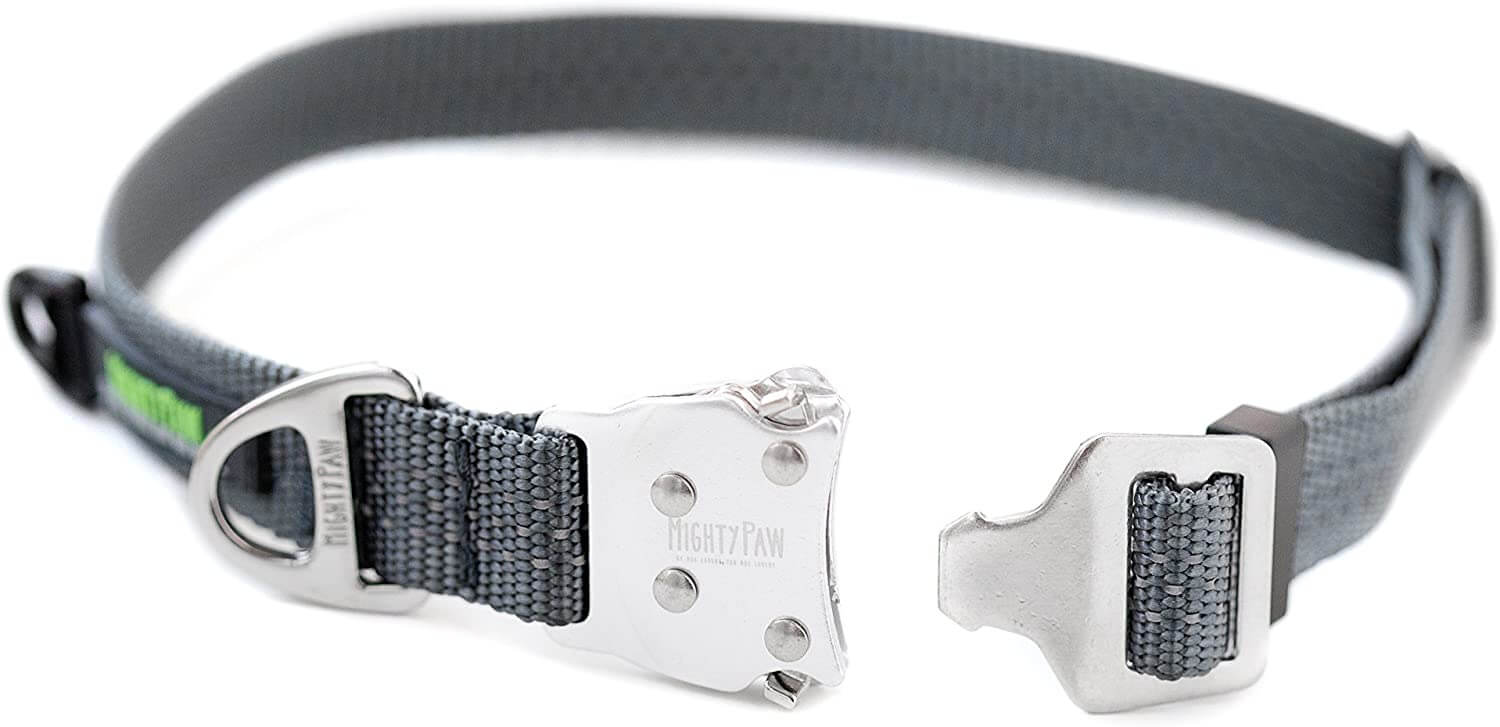 All-Metal Buckle Dog Collar with Tag Silencer and Reinforced D-Ring