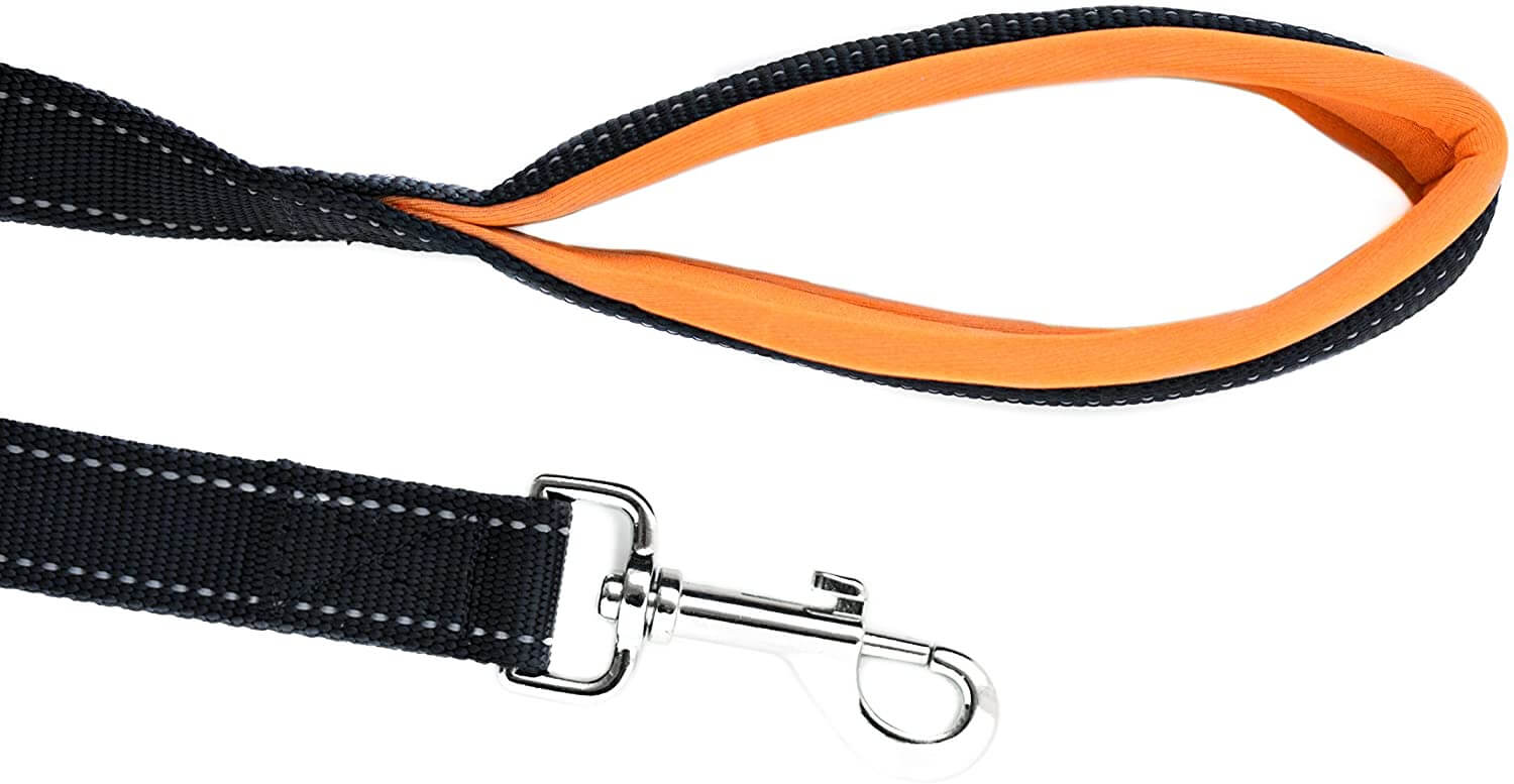 6-Foot Dual Handle Leash